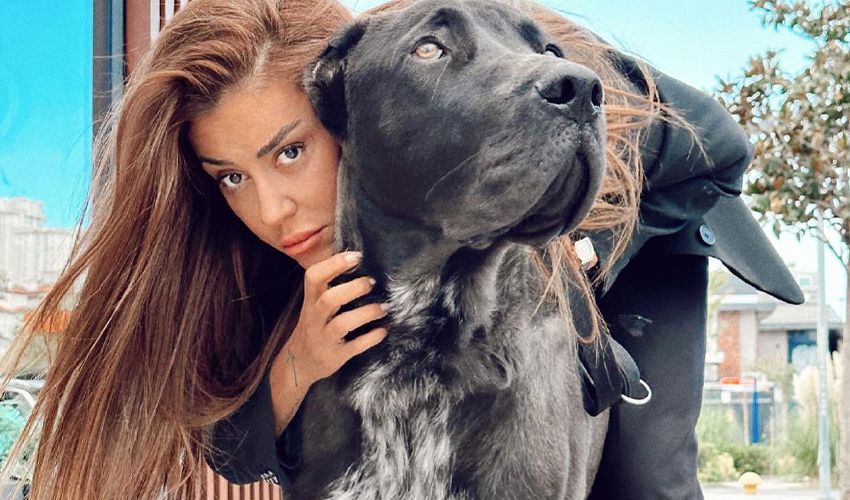 Fenomen Banu Parlak’ın tasmasız köpeği komşusunun köpeğini öldürdü - 1. Resim