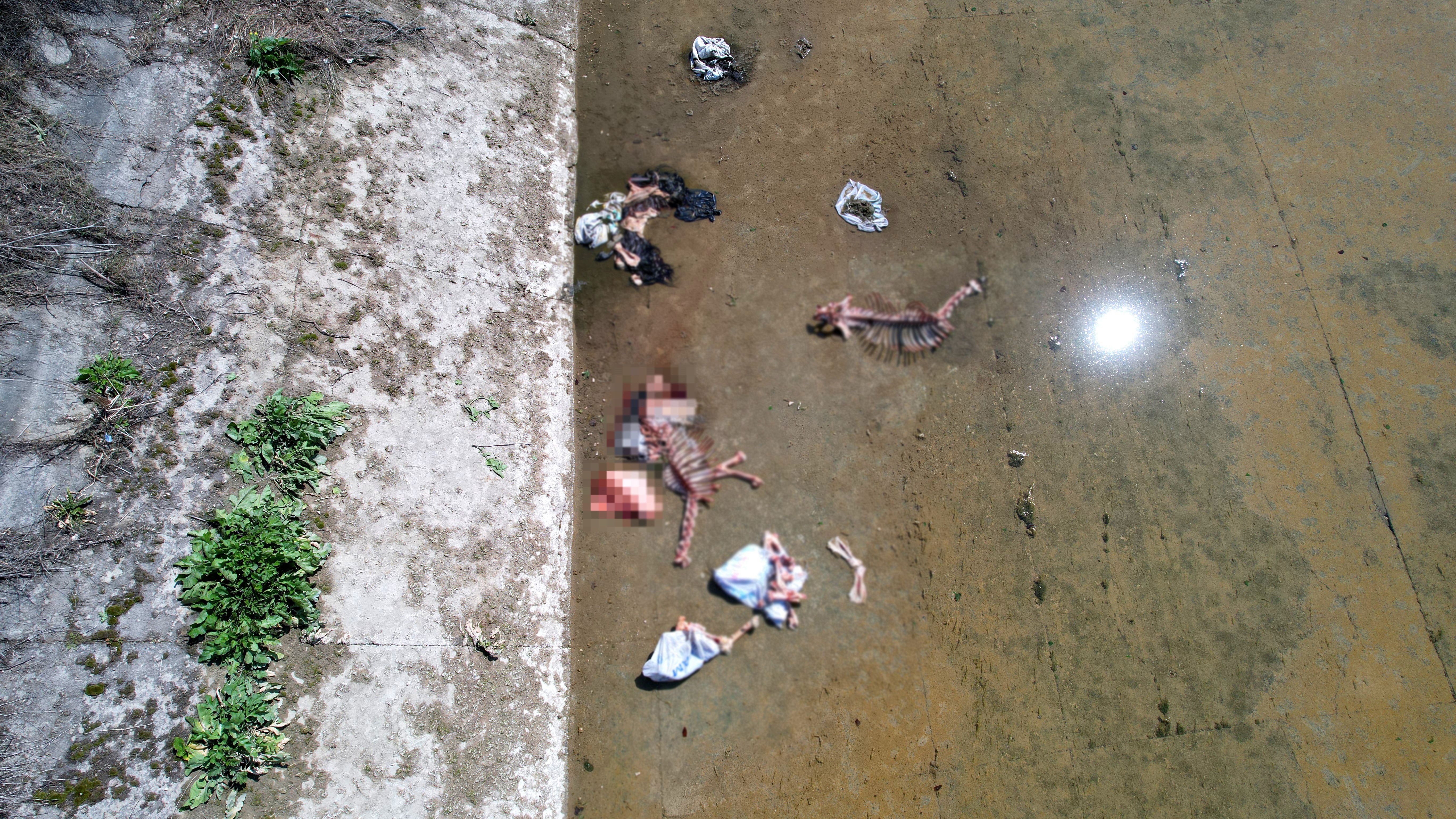 Mahallelinin kötü kokuyu fark etmesiyle ortaya çıktı! Sulama kanalında korkunç görüntü Mahallelinin kötü kokuyu fark etmesiyle ortaya çıktı! Sulama kanalında korkunç görüntü - 1. Resim