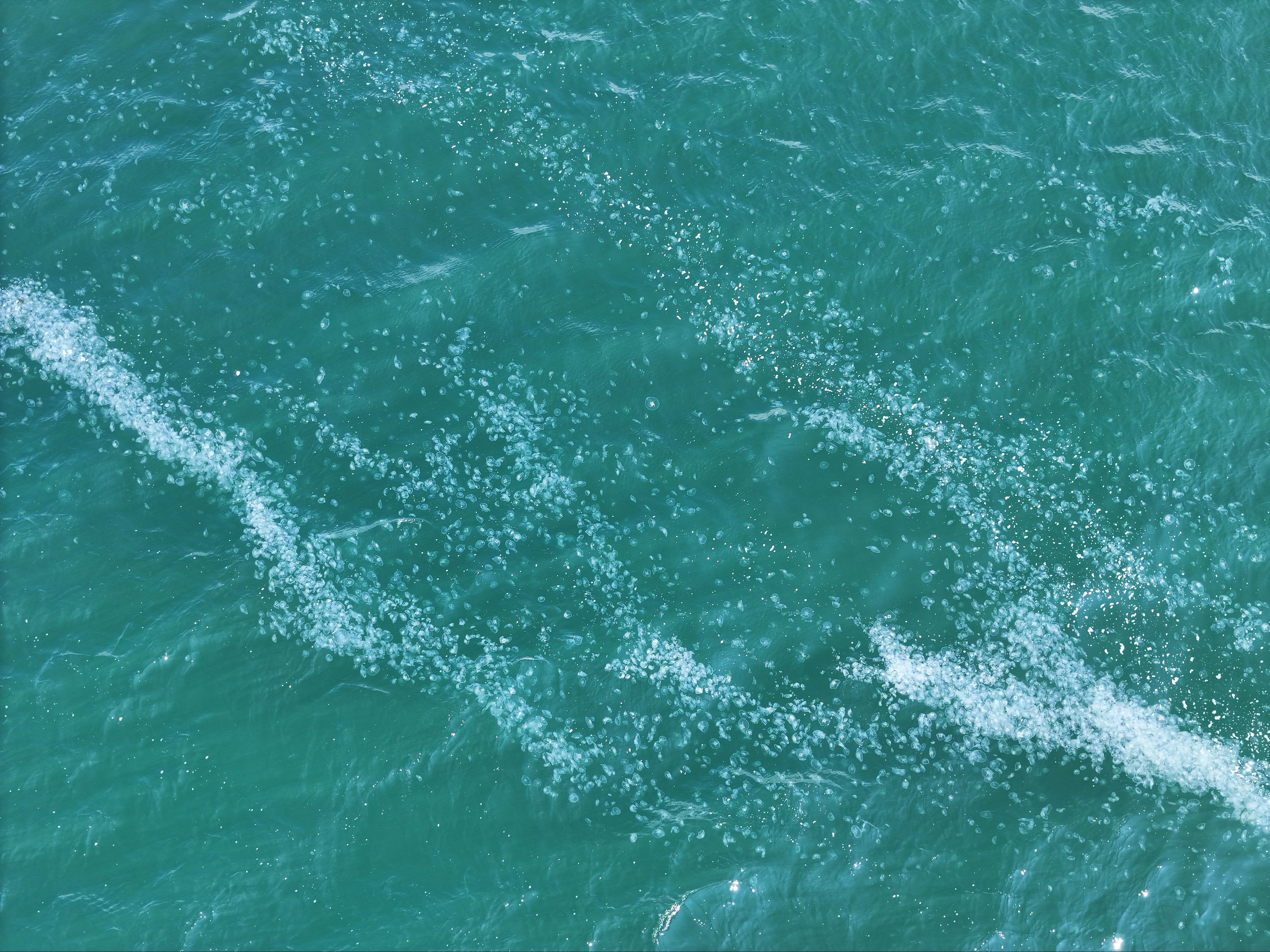 Marmara Denizi'nde ürküten görüntü! Kilometrelerce uzunlukta, lağım çukuruna dönüşebilir - 1. Resim