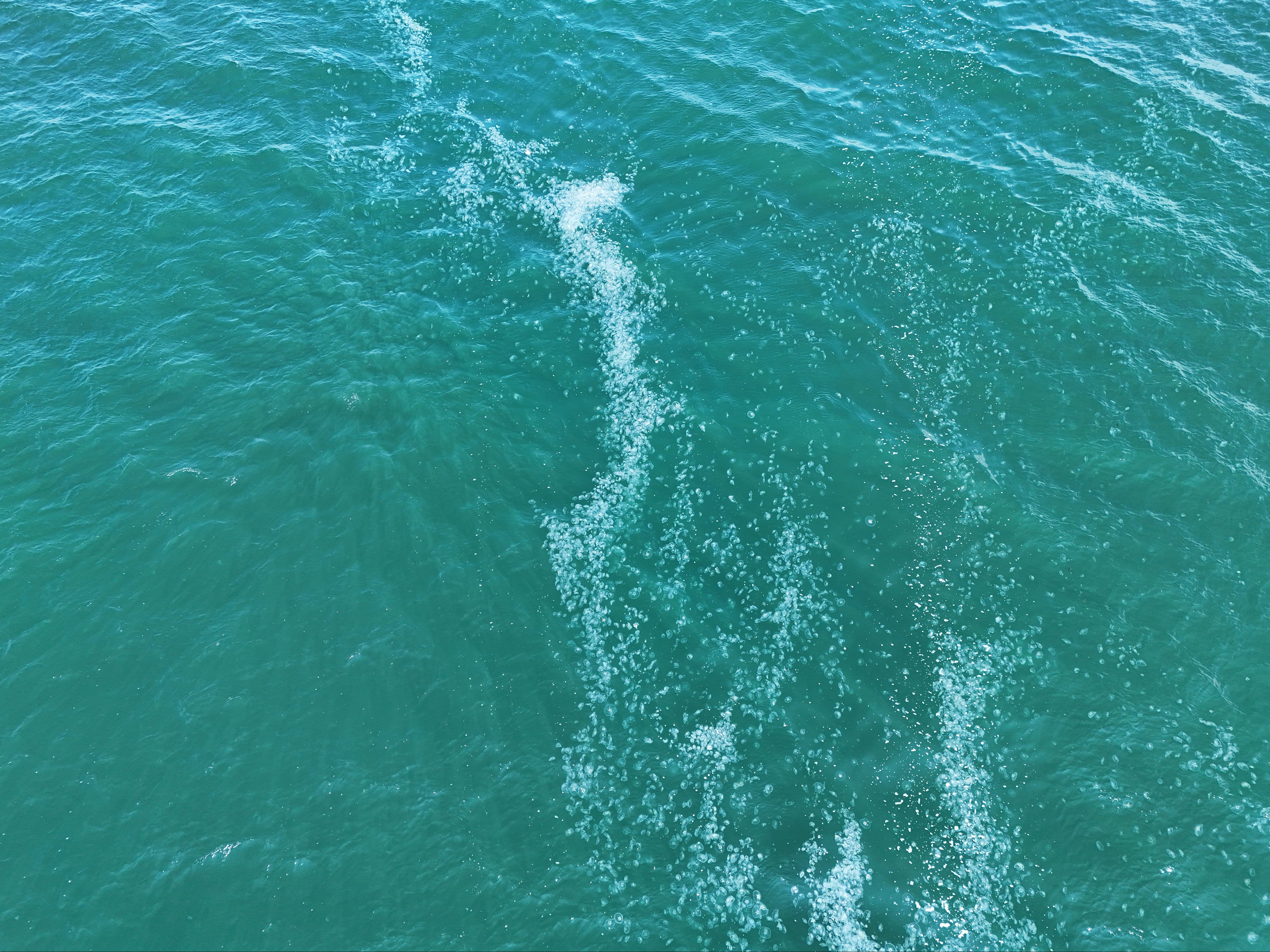 Marmara Denizi'nde ürküten görüntü! Kilometrelerce uzunlukta, lağım çukuruna dönüşebilir - 2. Resim