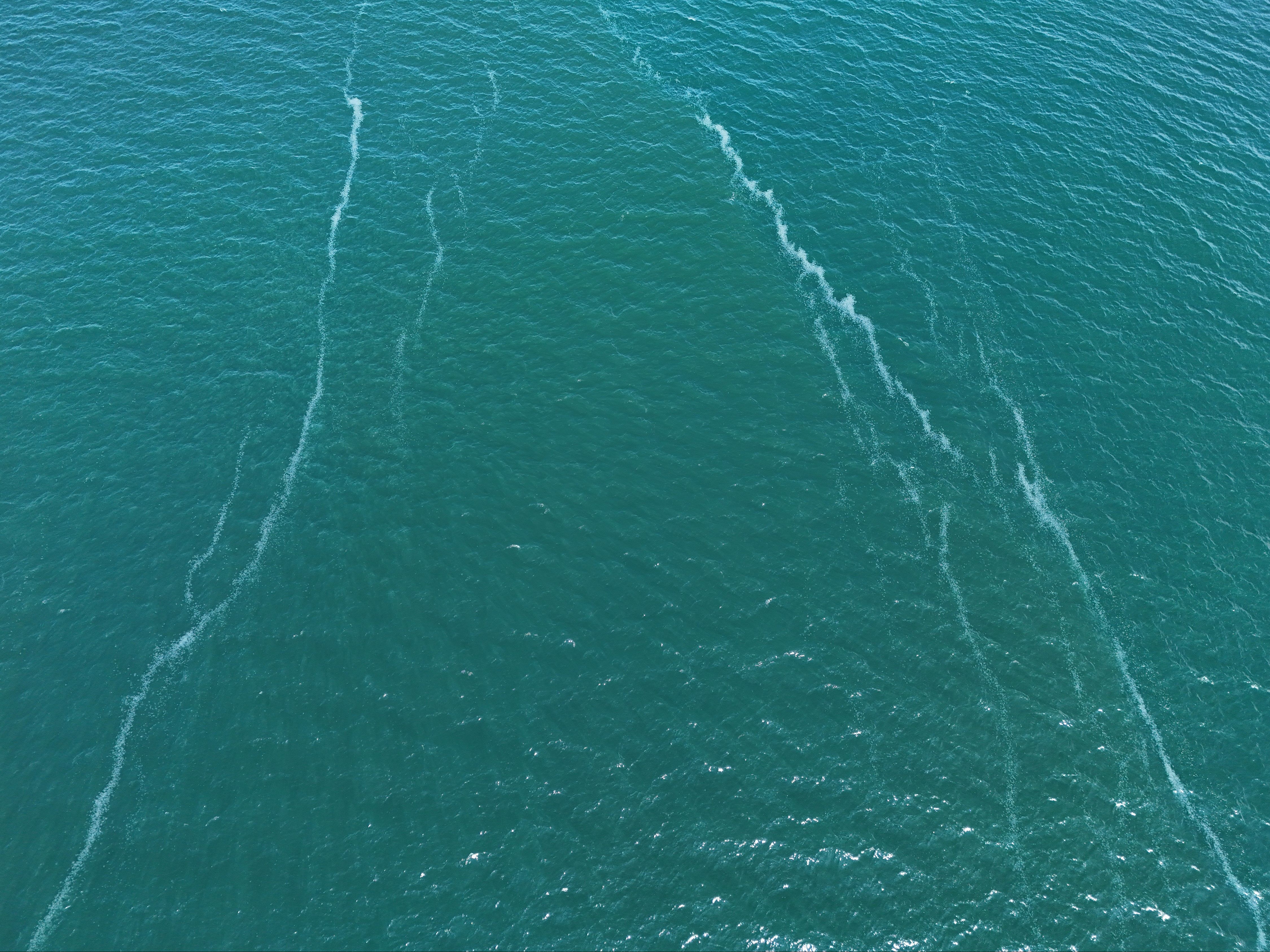 Marmara Denizi'nde ürküten görüntü! Kilometrelerce uzunlukta, lağım çukuruna dönüşebilir - 4. Resim