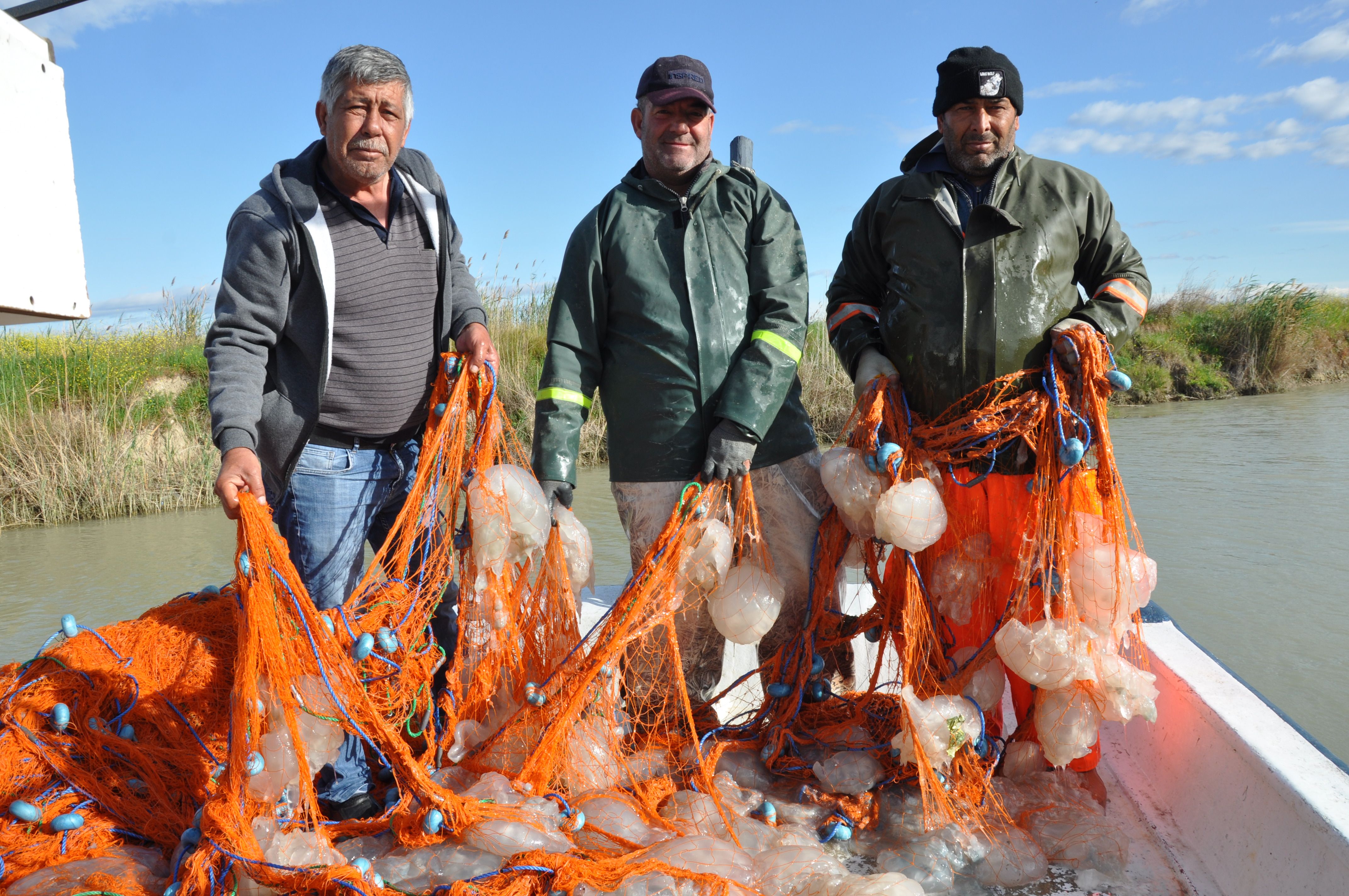 Akdeniz'de ürküten görüntü! Balıkçılar ağlarına takılanları görünce dehşete düştü Akdeniz'de ürküten görüntü! Balıkçılar ağlarına takılanları görünce dehşete düştü - 2. Resim