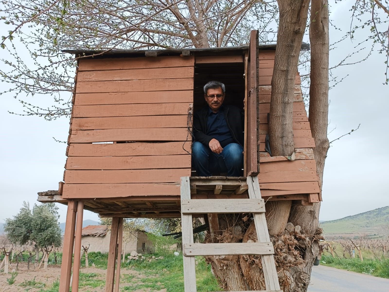4 bin liraya yaptı! Ağaç kondu ev ilgi odağı oldu - 1. Resim