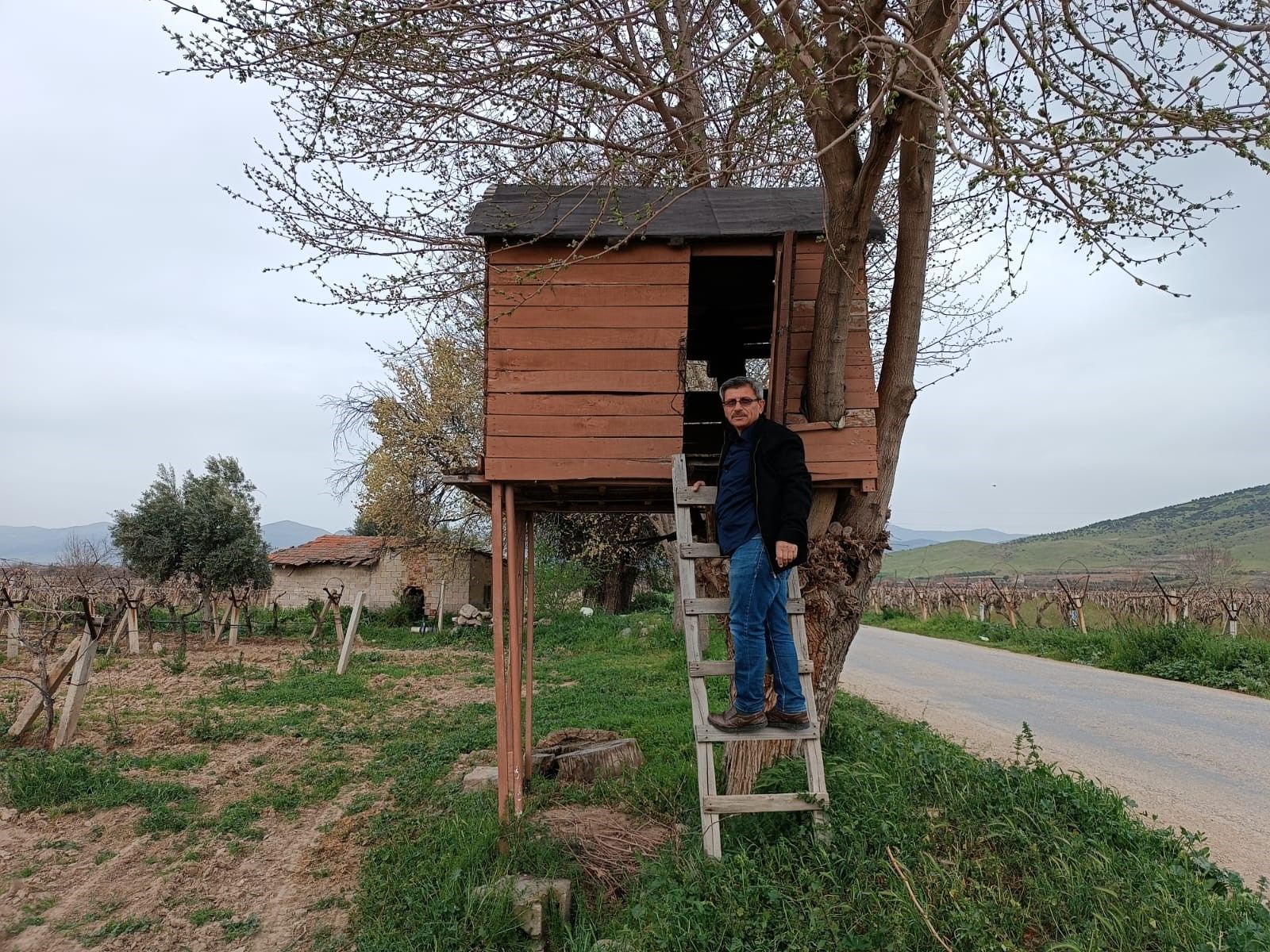 4 bin liraya yaptı! Ağaç kondu ev ilgi odağı oldu - 2. Resim