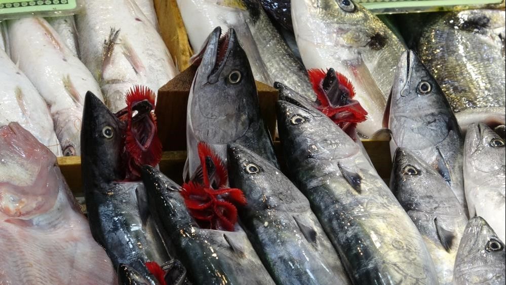 Denizlerde yasaklar 1 Nisan'da başlıyor Denizlerde yasaklar 1 Nisan'da başlıyor - 1. Resim