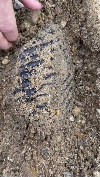 Sahilde ayağına takıldı! 1.8 milyon yaşında bir fosil Sahilde ayağına takıldı! 1.8 milyon yaşında bir fosil - 2. Resim