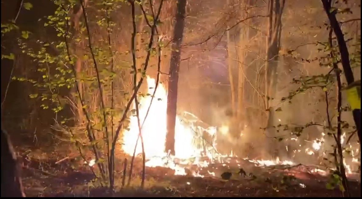 Düzce'de korkutan orman yangını - 1. Resim