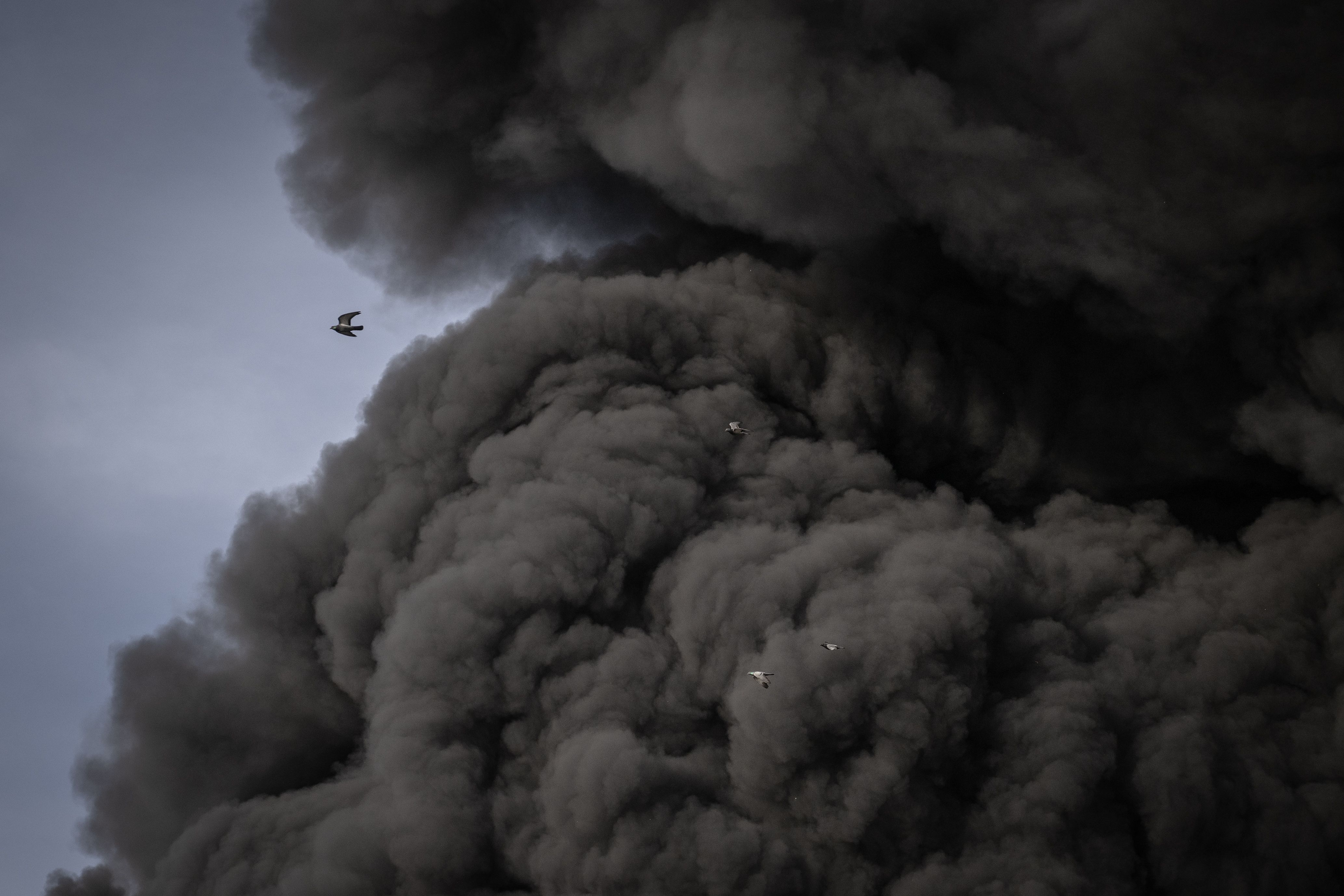 Ankara'da çevre alarmı: Ağır metaller sisle yayıldı, pencereleri kapatın, maskesiz çıkmayın! - 6. Resim