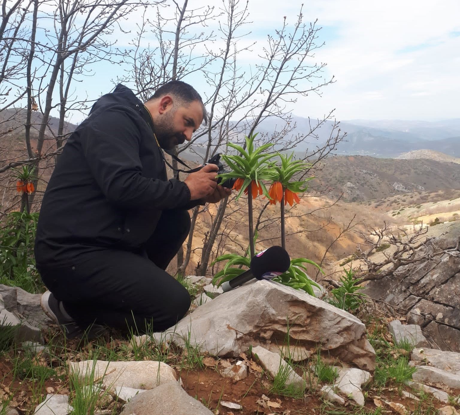 Koparmanın cezası 244 bin lira! Selimiye'deki ters lale Edirne'de yetiştirilmeye başlandı Koparmanın cezası 244 bin lira! Selimiye'deki müezzin mahfilinin mermer ayağına işlenen ters lale Edirne'de yetiştirilmeye başlandı - 8. Resim