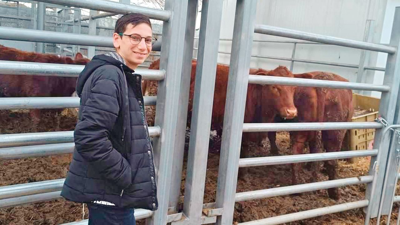 Filistinliler için kanlı plan! Topyekûn soykırım hazırlığı, Gazze için daha korkuncu pusuda Filistinliler için kanlı plan! Topyekûn soykırım hazırlığı, Gazze için daha korkuncu pusuda - 2. Resim