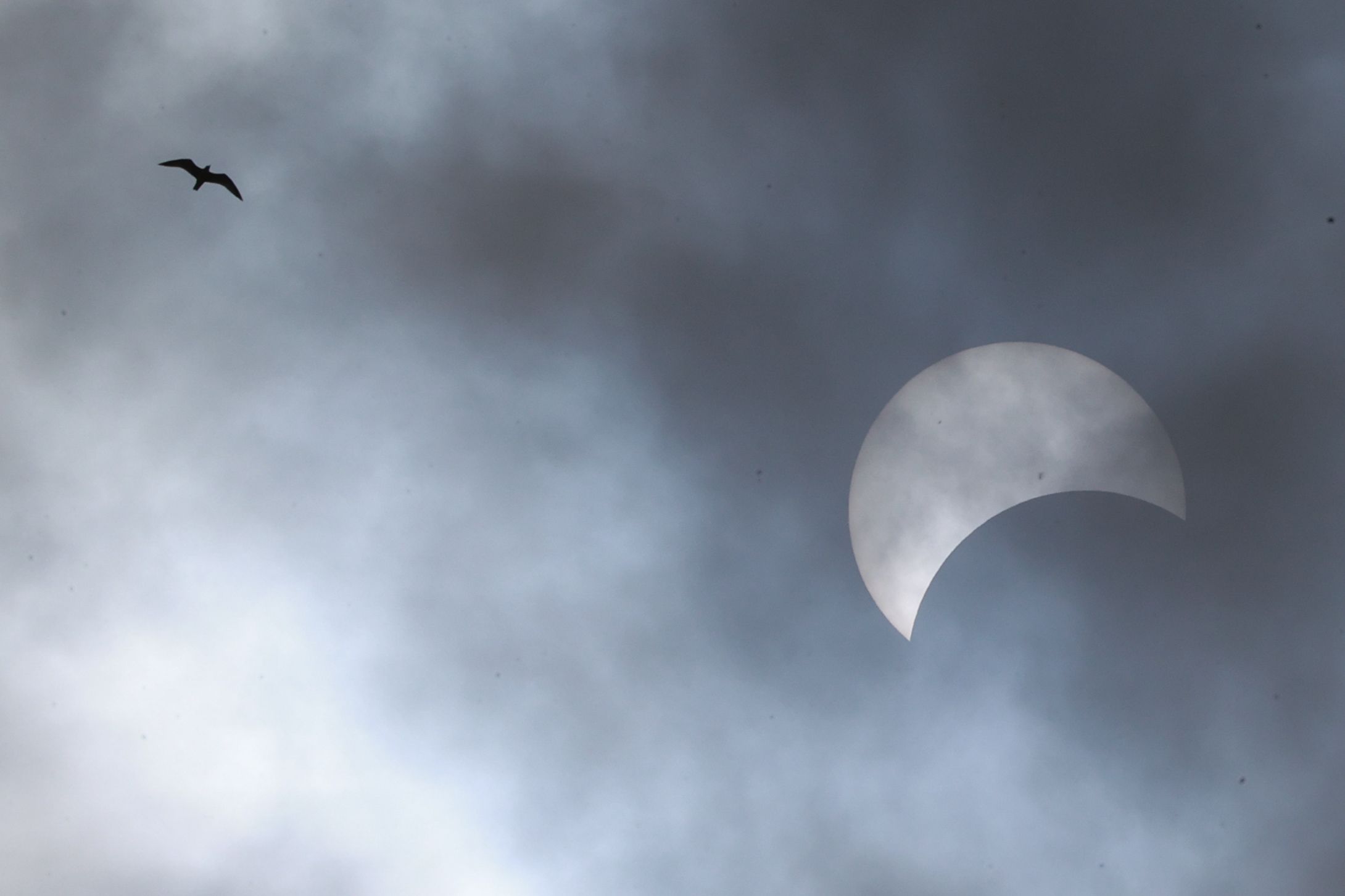 2024'ün ilk güneş tutulması yaşandı! Tüm dünya o anlara kilitlendi - 5. Resim