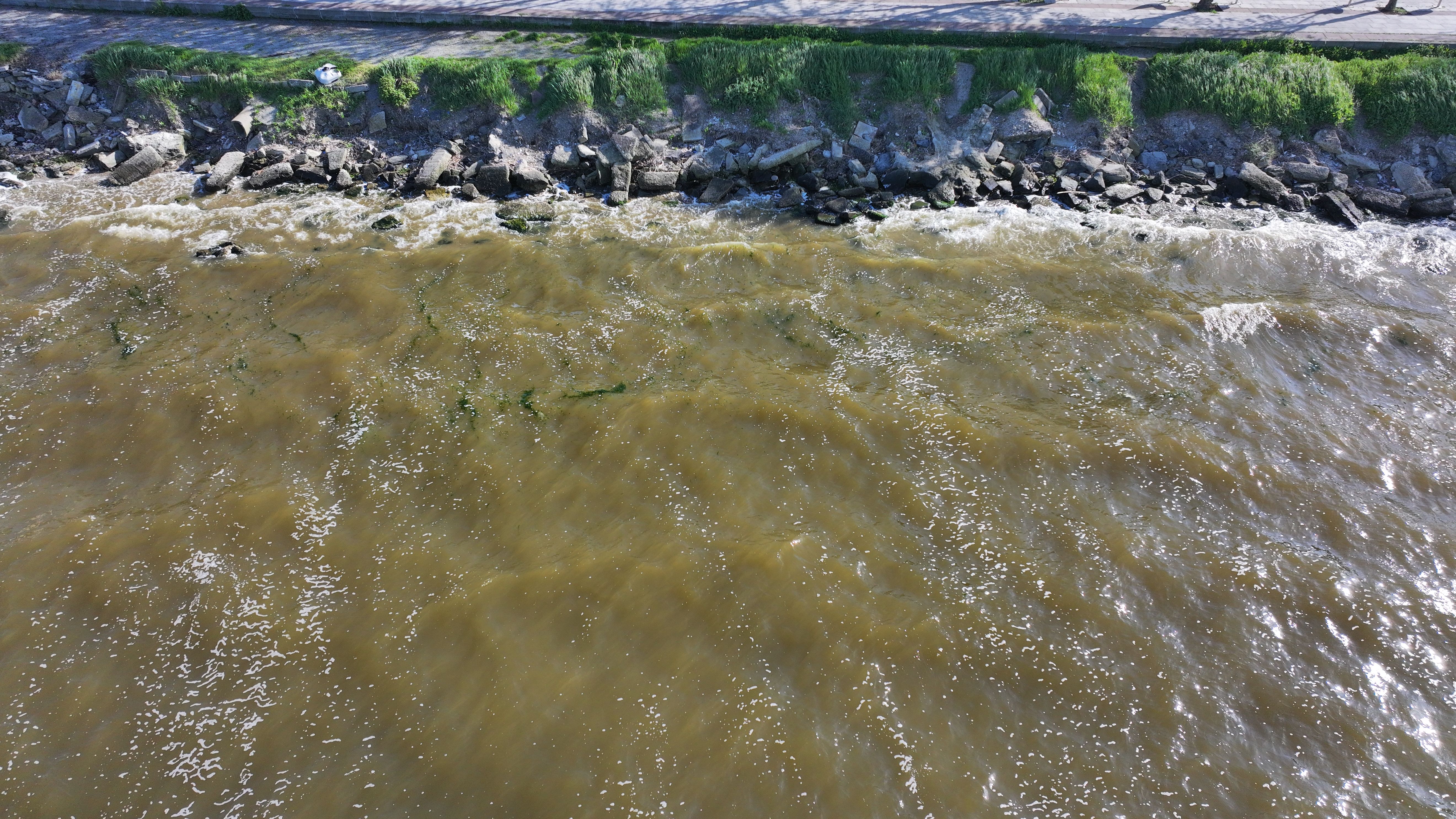 Küçükçekmece Gölü'nde tedirgin eden manzara! Suyun rengi değişti, lağım fareleri de var - 4. Resim