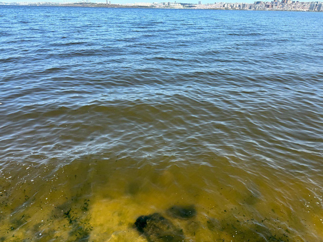 Küçükçekmece Gölü'nde tedirgin eden manzara! Suyun rengi değişti, lağım fareleri de var - 1. Resim
