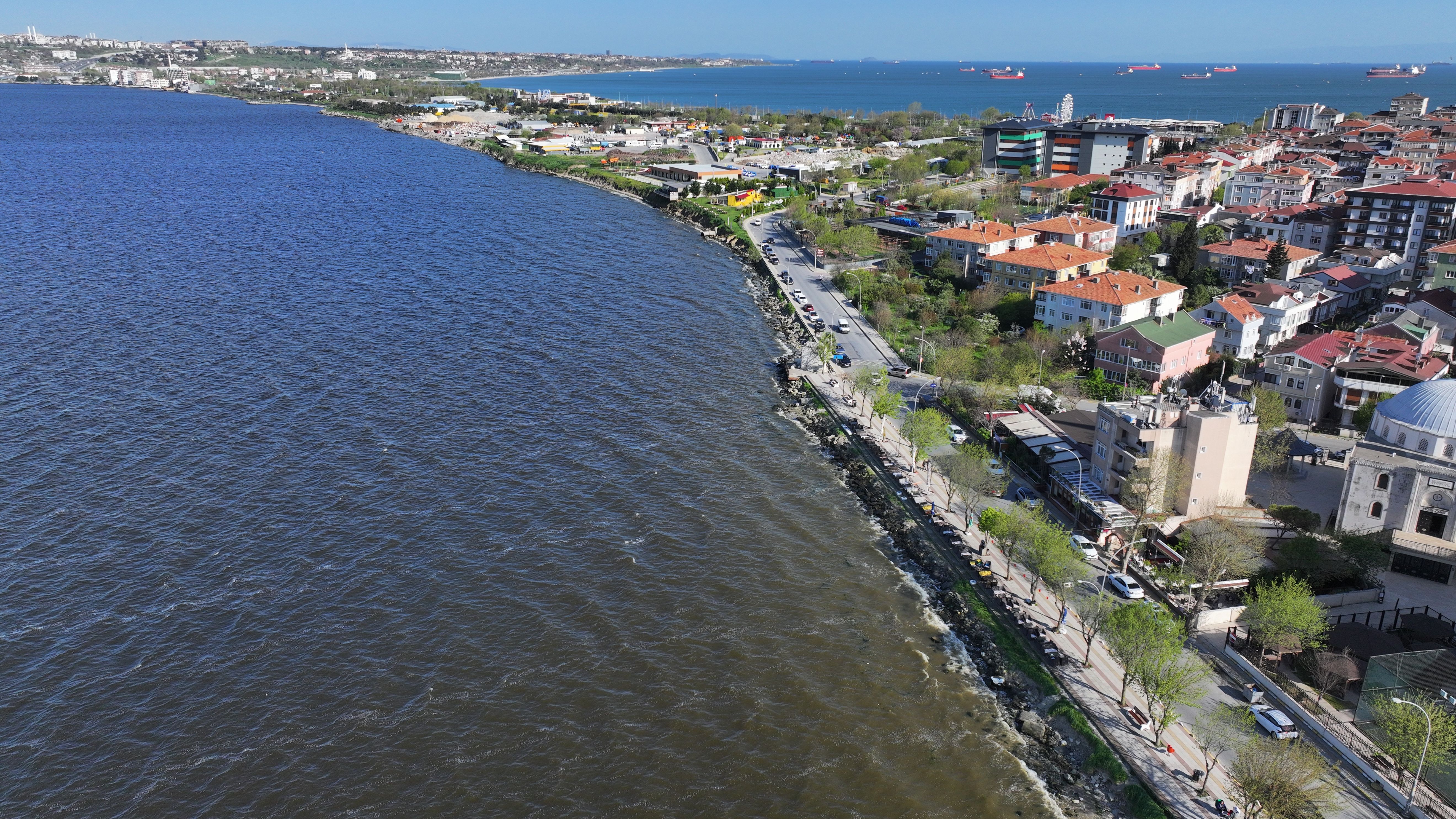 Küçükçekmece Gölü'nde tedirgin eden manzara! Suyun rengi değişti, lağım fareleri de var - 2. Resim
