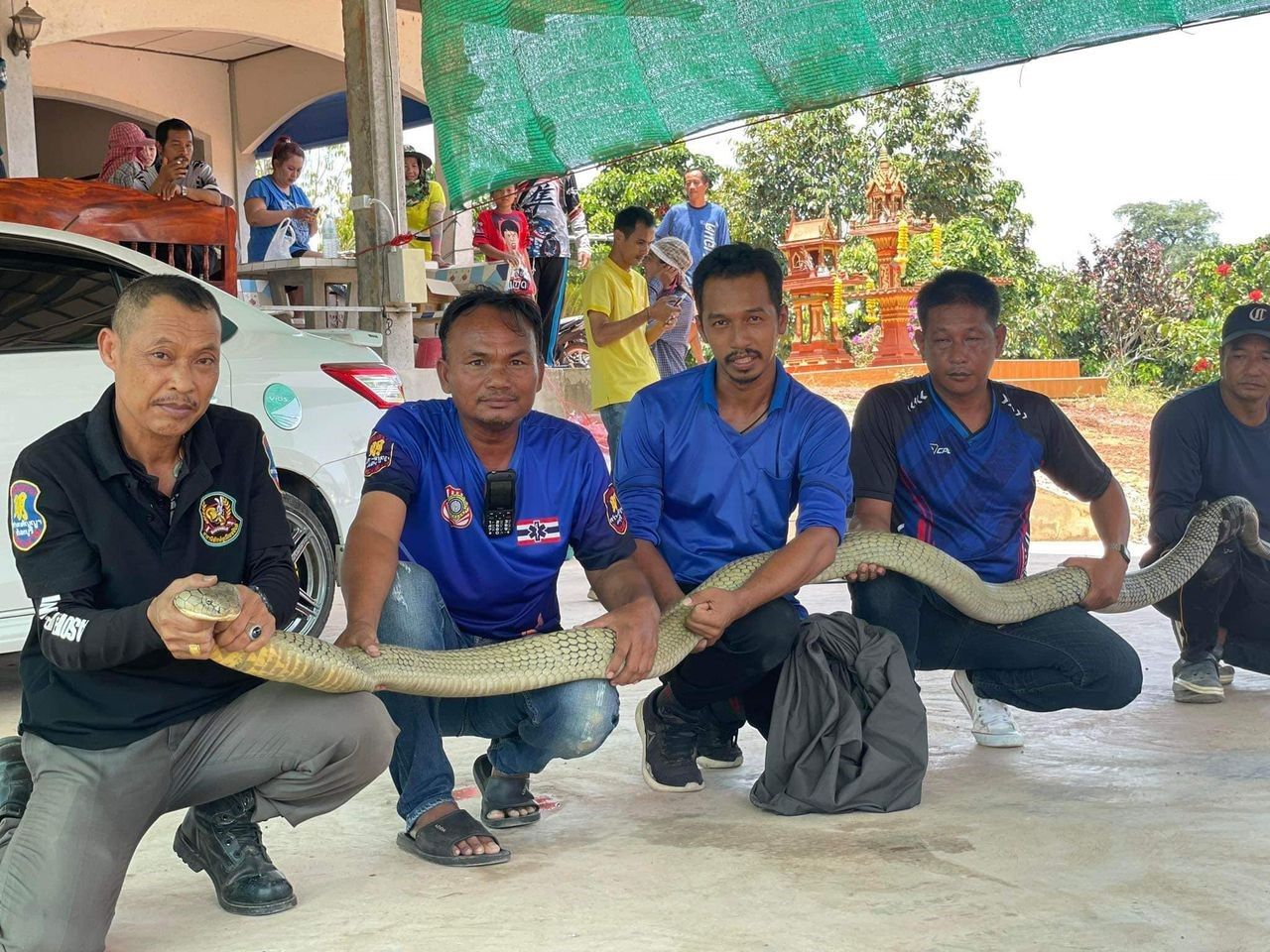 Köpeği havlayınca kaputu açtı, hayatının şokunu yaşadı! 16 kilo ve dünyanın en zehirlilerinden Köpeği havlayınca kaputu açtı, hayatının şokunu yaşadı! 16 kilo ve dünyanın en zehirlilerinden - 4. Resim