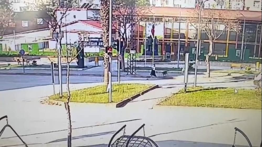 4 yaşındaki kız dehşeti yaşadı! Rottweiler hastanelik etti - 2. Resim