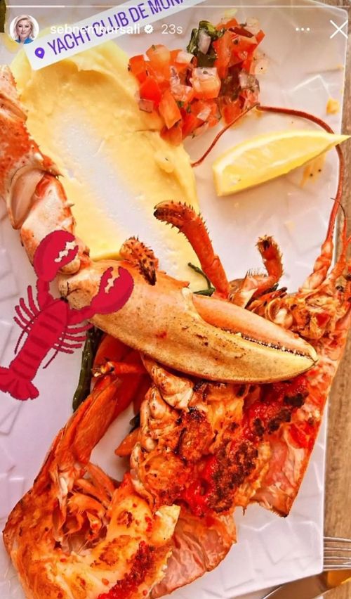 Istakoz fotoğrafı gündem olmuştu! Şebnem Bursalı özür diledi Istakoz fotoğrafı gündem olmuştu! Şebnem Bursalı özür diledi - 1. Resim