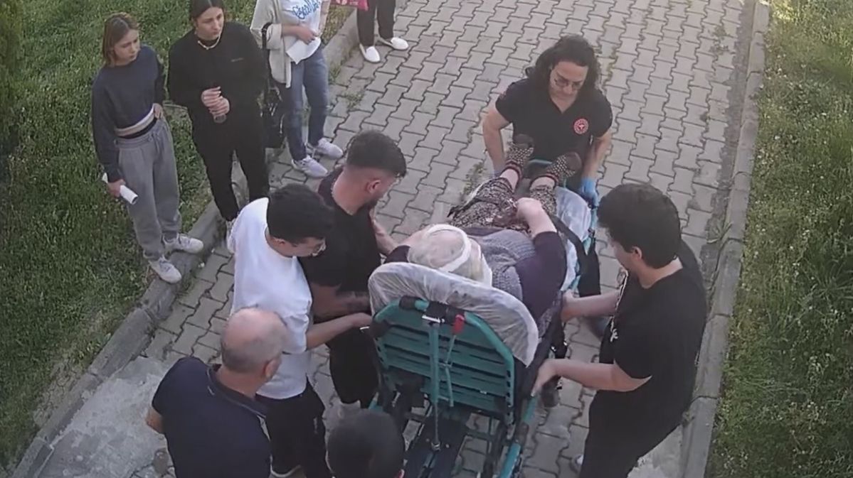 Başıboş köpek dehşeti! Yaşlı kadın tanınmaz hale geldi Başıboş köpek dehşeti! Yaşlı kadın tanınmaz hale geldi - 1. Resim