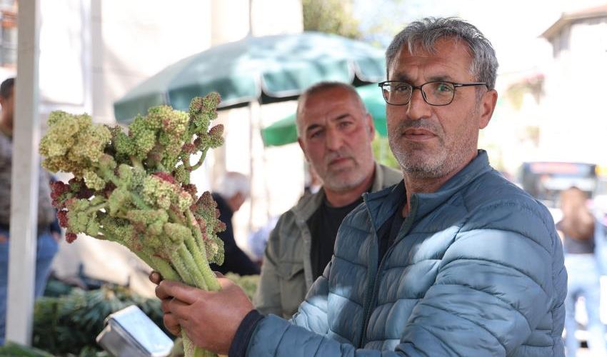 ‘Dağ muzu’ olarak biliniyor! Tam bir karaciğer dostu, şeker hastalığına da doğal çare ‘Dağ muzu’ olarak biliniyor! Tam bir karaciğer dostu, şeker hastalığına da doğal çare - 1. Resim
