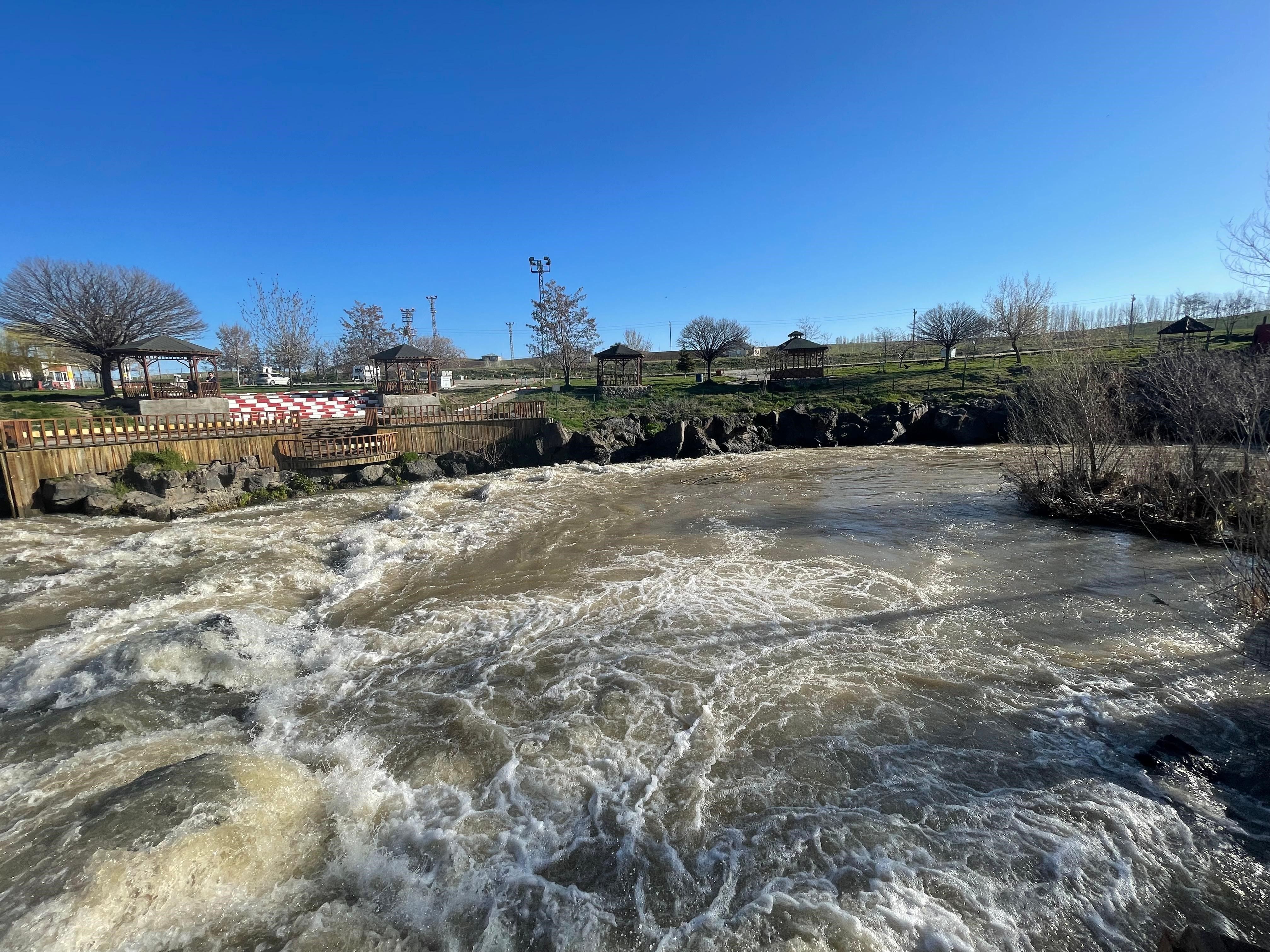 İnci kefali için 3 aylık av yasağı başladı! 15 Nisan ile 15 Temmuz tarihleri arasında avlanamayacak İnci kefali için 3 aylık av yasağı başladı! 15 Nisan ile 15 Temmuz tarihleri arasında avlanamayacak - 4. Resim