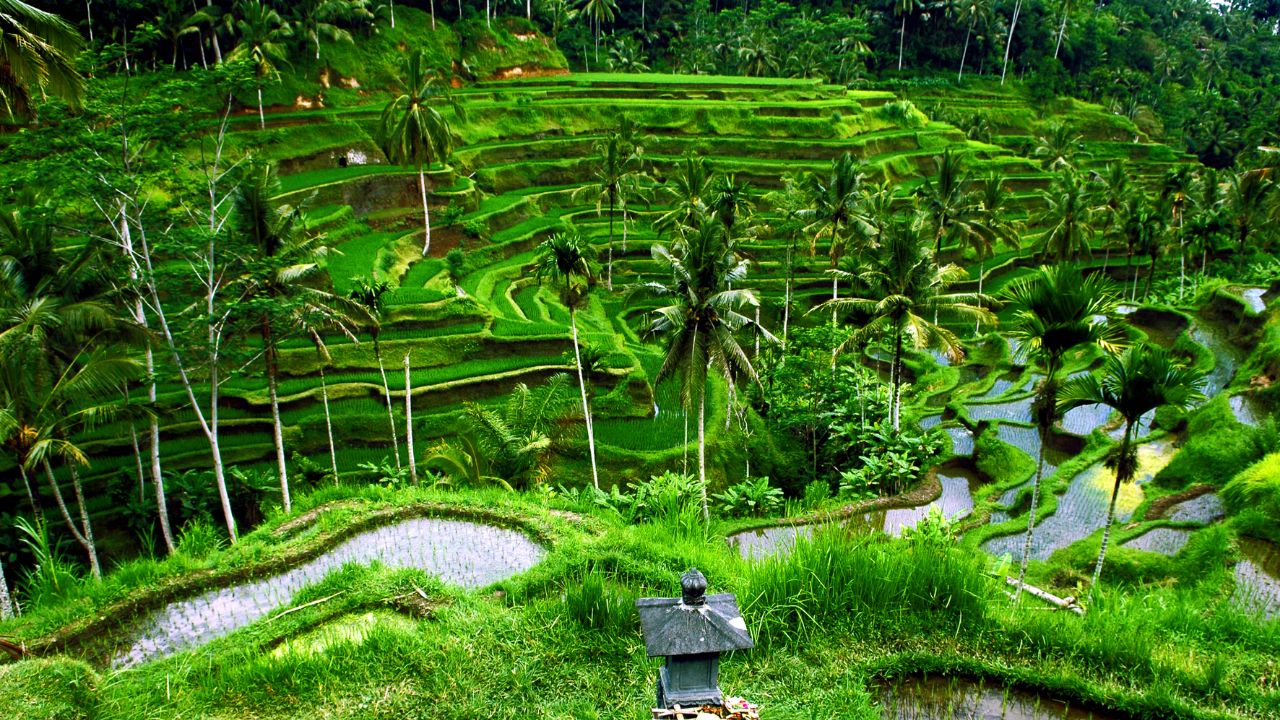 Türk vatandaşlarının Endonezya’nın Bali Adasına vizesiz seyahat etmesi mümkün Türk vatandaşlarının Endonezya’nın Bali Adasına vizesiz seyahat etmesi mümkün - 1. Resim
