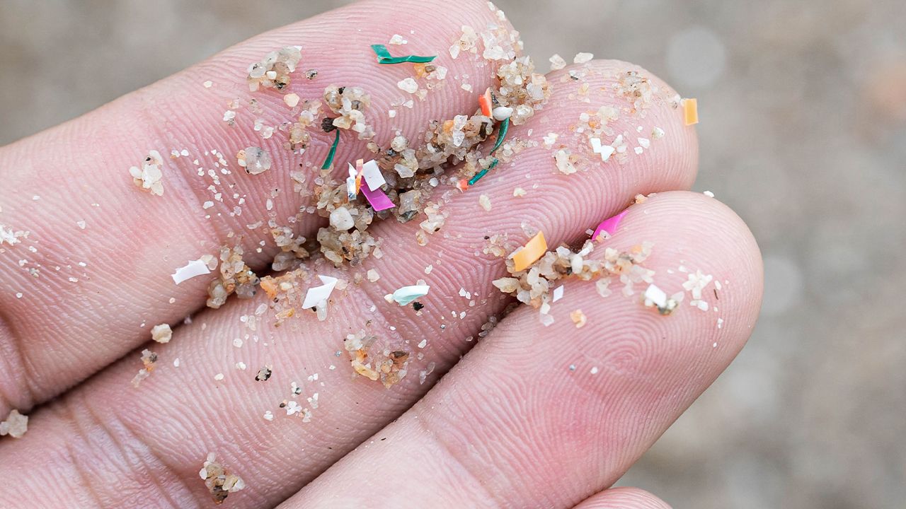 Yediğimiz balıklar zehir olabilir! Uzmanlar uyardı: Deniz canlıları bunları besin olarak algılıyor - 1. Resim