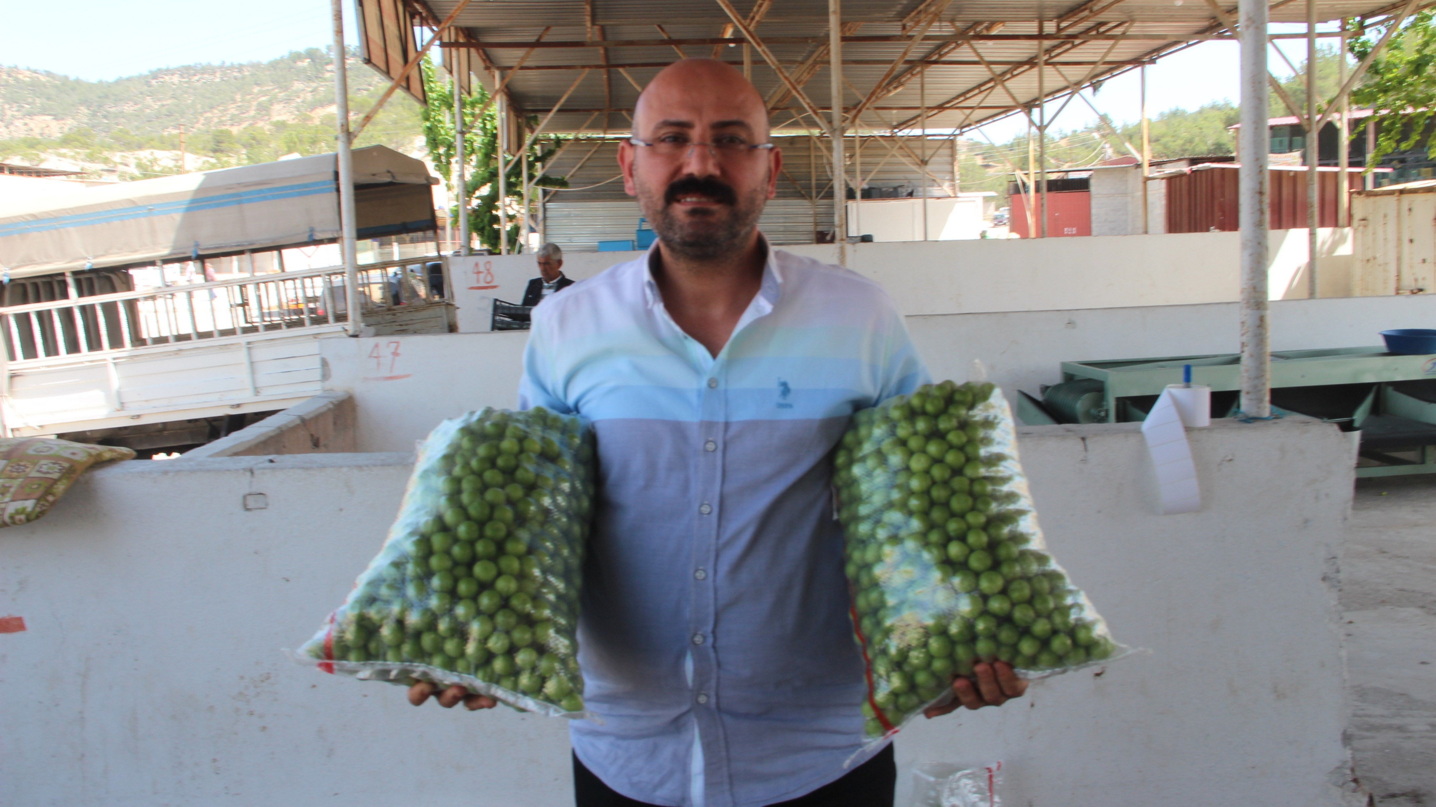 Fiyat 150 dolardan 50 liraya düştü! Üreticinin de vatandaşın da yüzü gülüyor! Fiyat 150 dolardan 50 liraya düştü! Üreticinin de vatandaşın da yüzü gülüyor! - 2. Resim