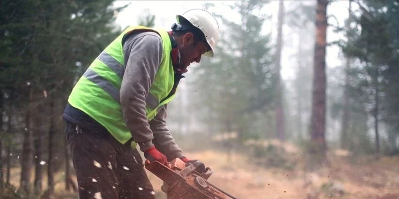 Orman Genel Müdürlüğü 68 işçi alacak - 1. Resim