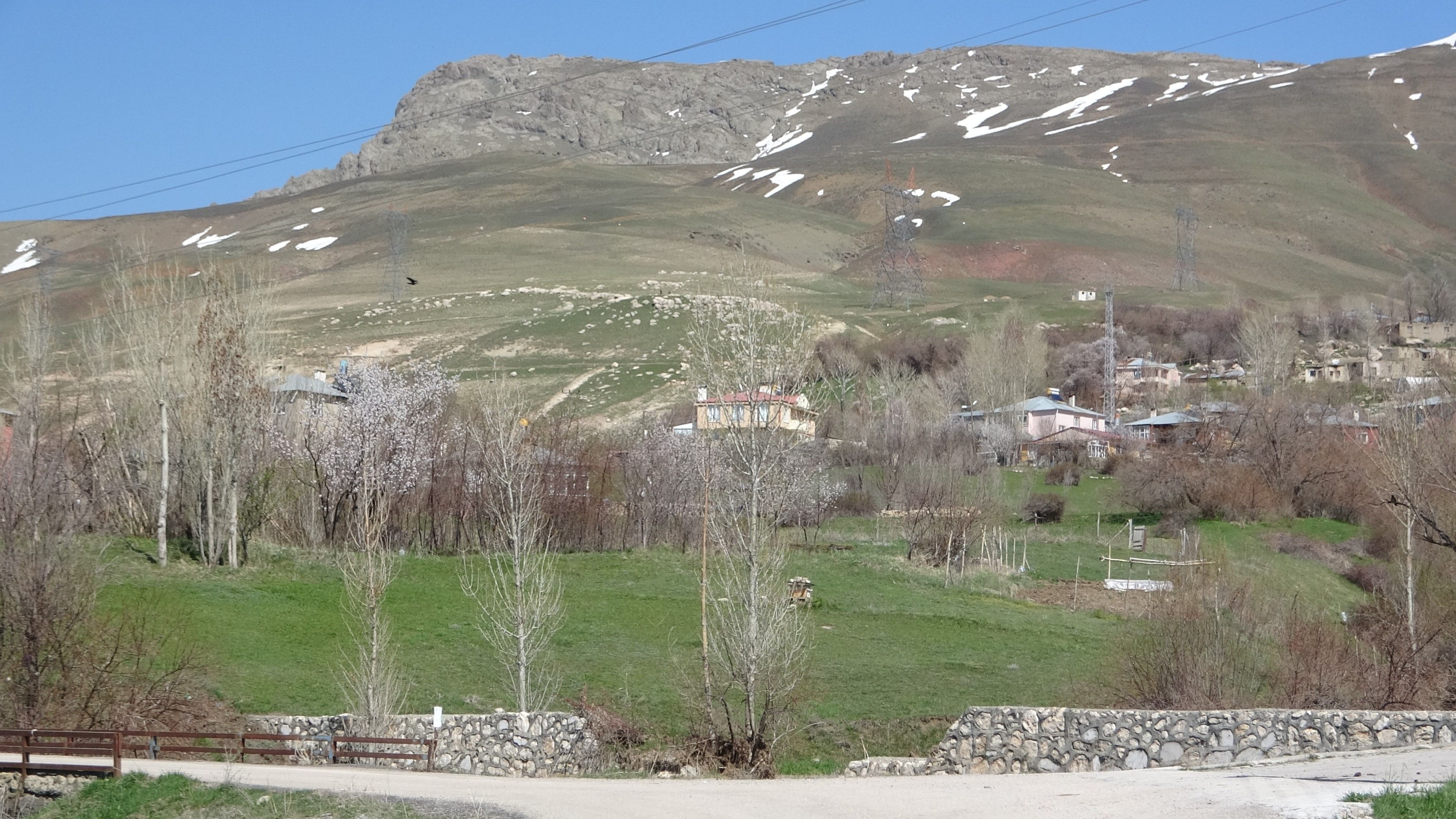 Define operasyonu diye gittiler gerçek bambaşka çıktı: Olay jandarmadan emniyete geçti! - 1. Resim