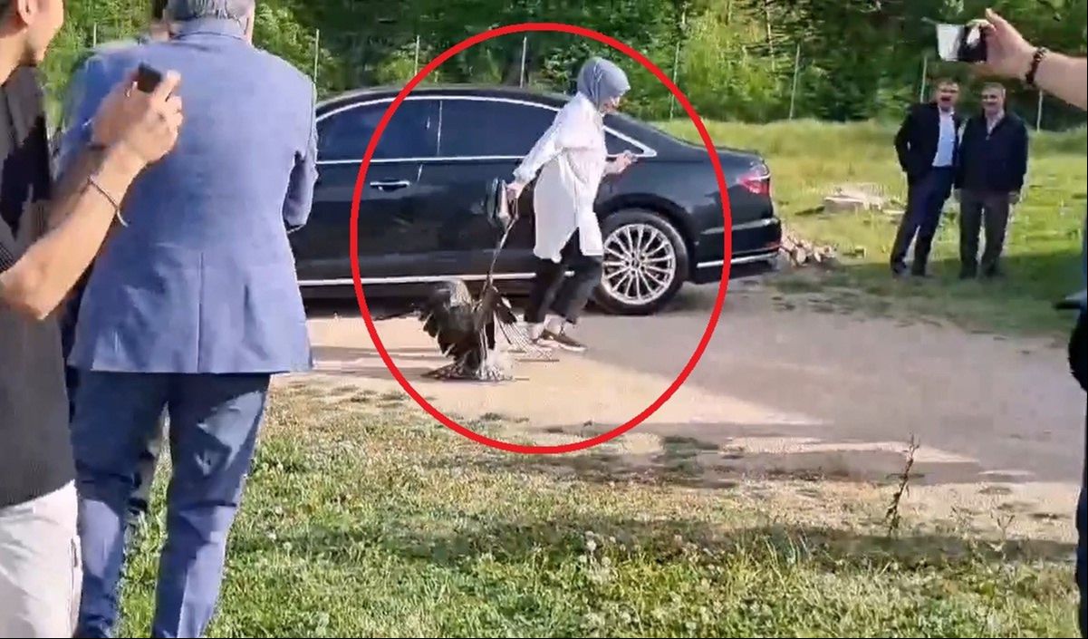 Valinin doğaya saldığı kartal kadına saldırdı - 1. Resim