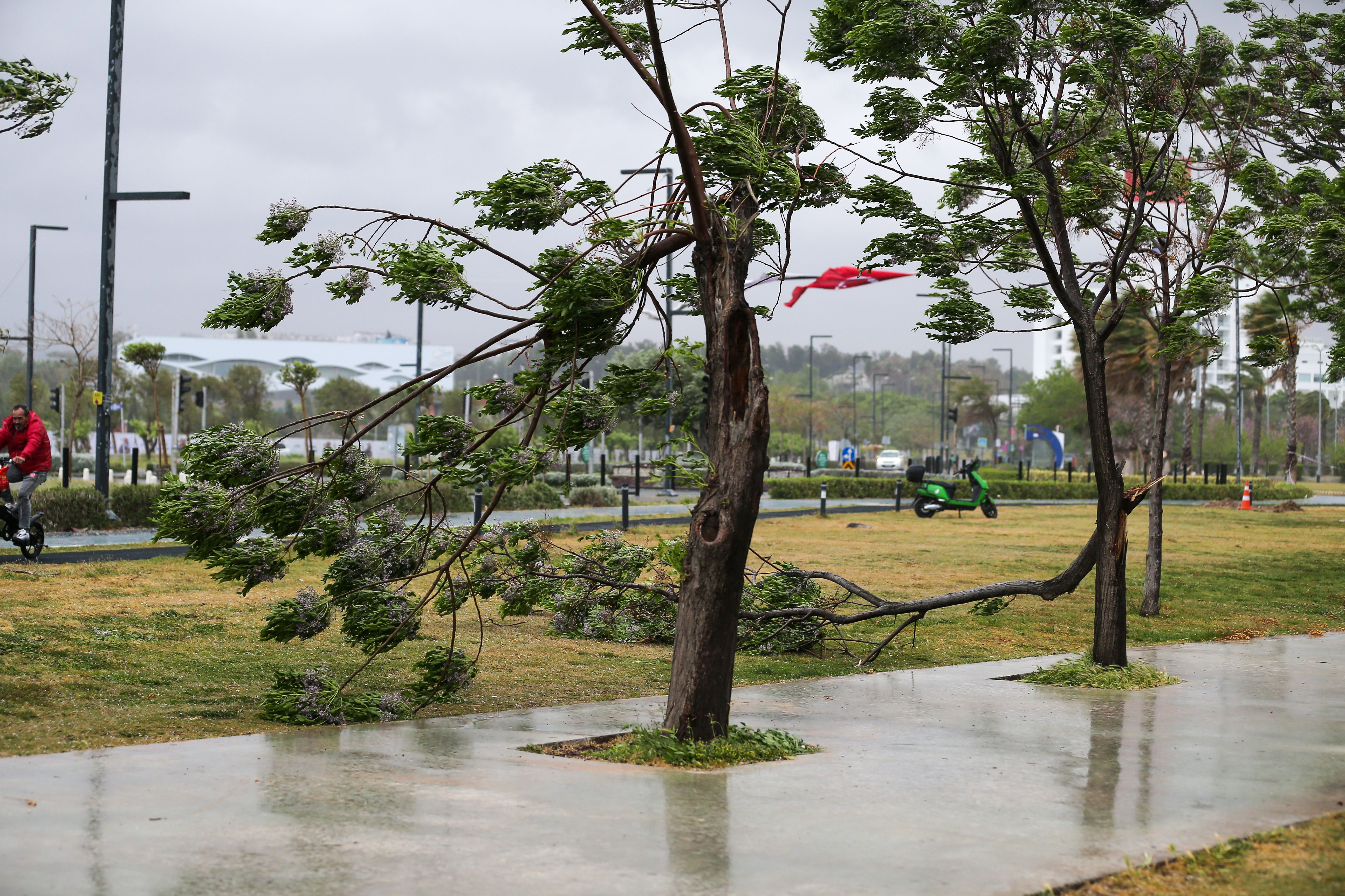 Çatılar uçtu, ağaçlar devrildi! Yurdun birçok noktası fırtına ve kuvvetli yağışa teslim Çatılar uçtu, ağaçlar devrildi! Yurdun birçok noktası fırtına ve kuvvetli yağışa teslim - 2. Resim