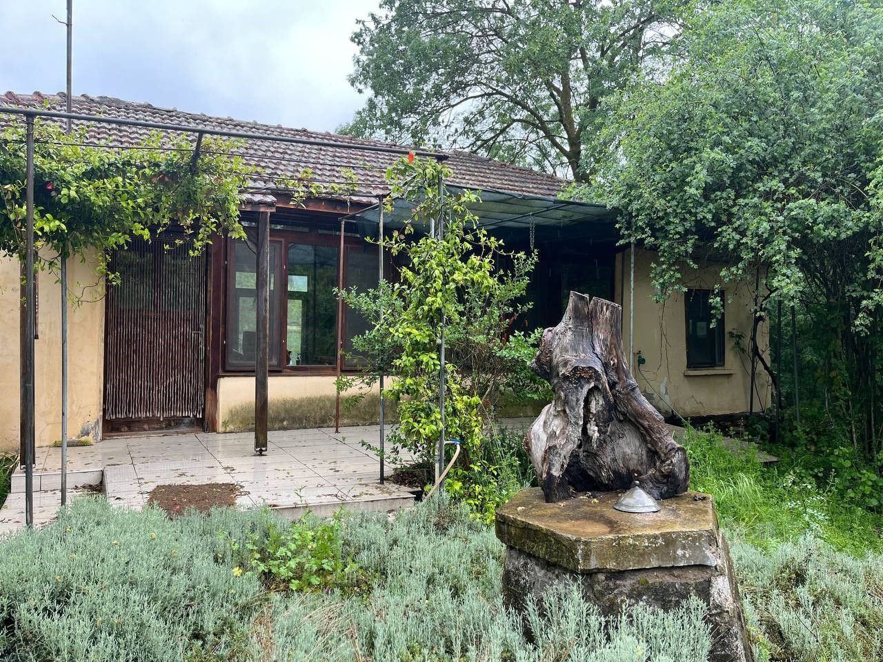 Korhan Berzeg muammasına dayanamadılar: Mahalleli arkasına bakmadan terk etti Korhan Berzeg muammasına dayanamadılar: Mahalleli arkasına bakmadan terk etti - 4. Resim