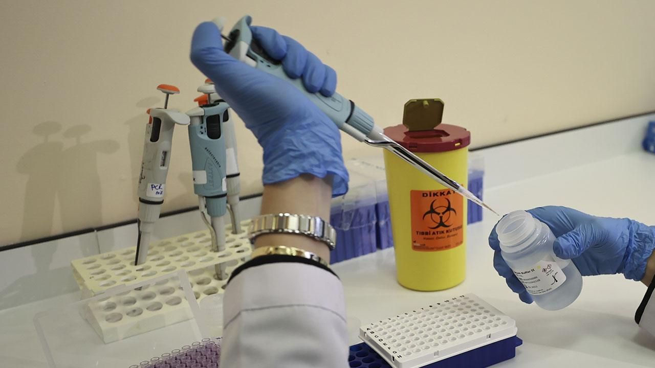 SMA hastaları için yeni çalışma! Daha etkili ve daha ucuz olacak SMA hastaları için yeni çalışma! Daha etkili ve daha ucuz olacak - 2. Resim