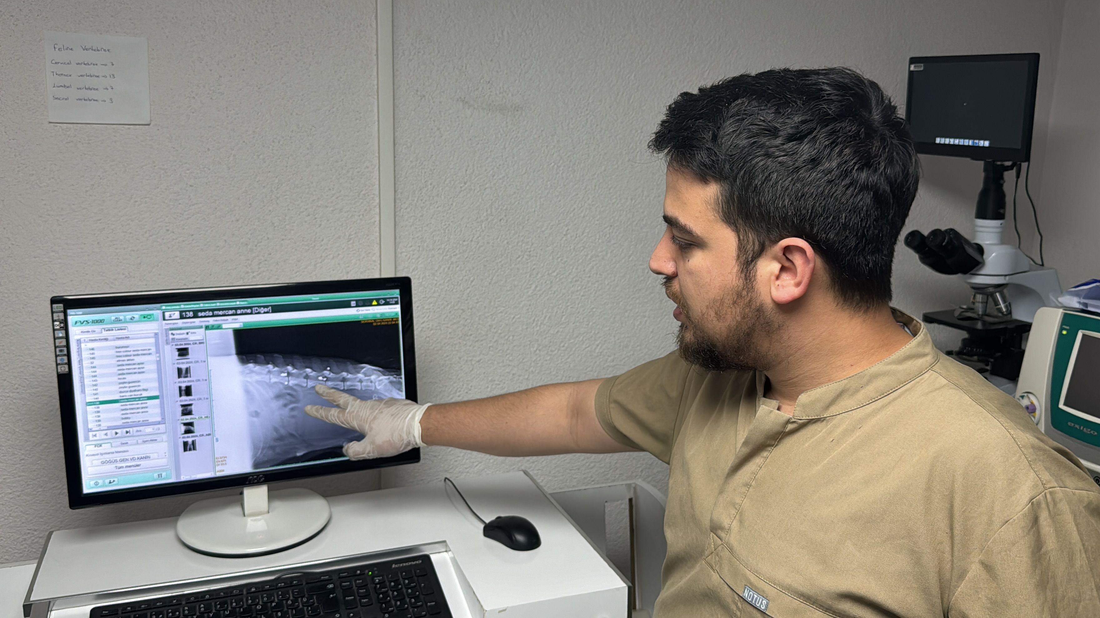 Hamile k&ouml;peği silahla vurdular! Bacağı ve kuyruğu ampute edildi - 1. Resim