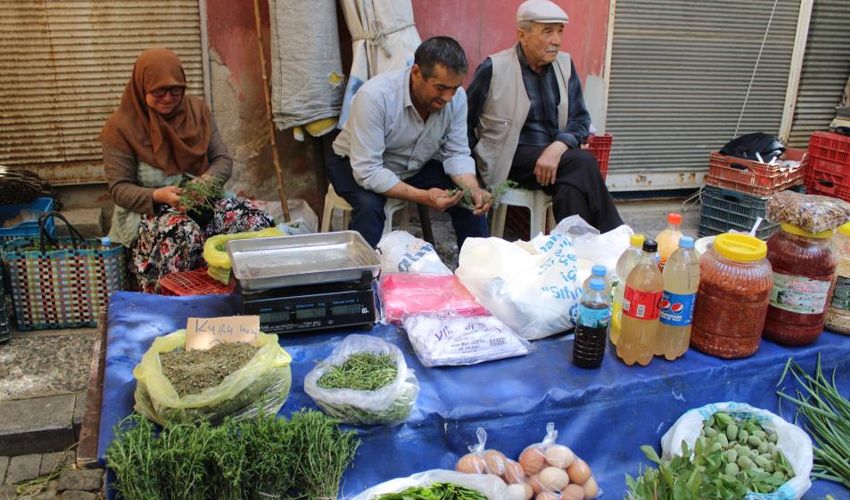 Bağı 20 TL’den satılıyor! Zeytinyağında bekletip yiyin: Boğazı yumuşatıyor, öksürüğü hafifletiyor Bağı 20 TL’den satılıyor! Zeytinyağında bekletip yiyin: Boğazı yumuşatıyor, öksürüğü hafifletiyor - 1. Resim