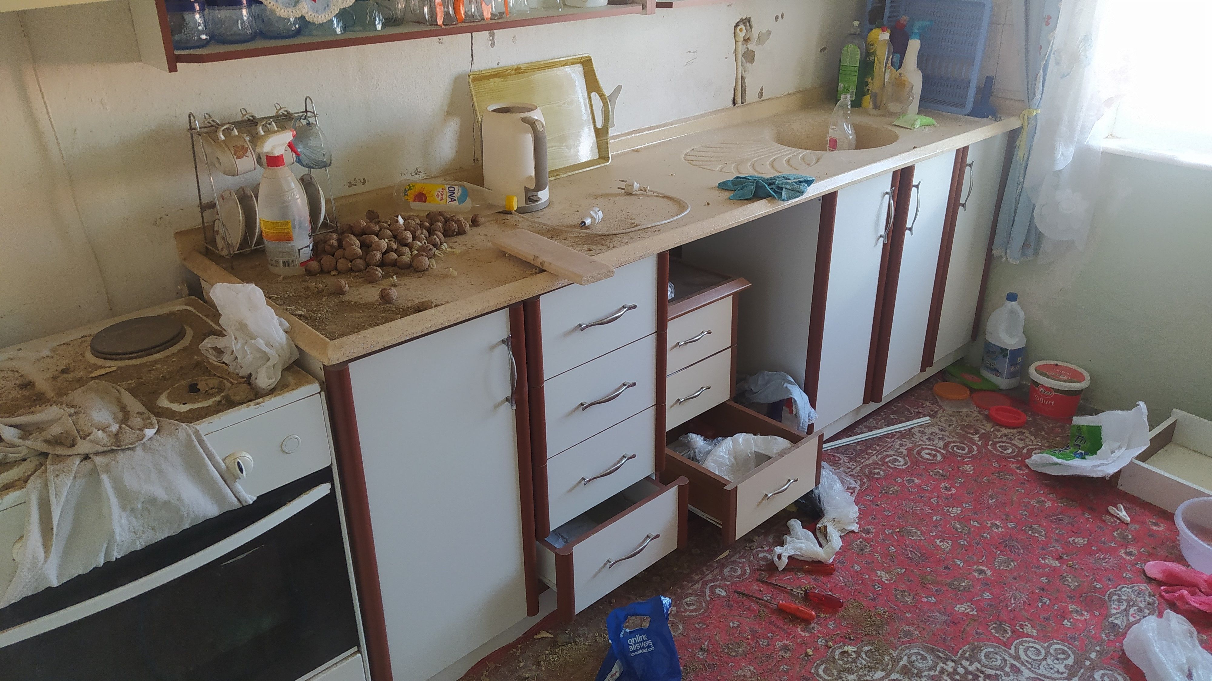 Böyle vicdansızlık olmaz! Yazlığına gitti, kapıyı açar açmaz polisi aradı - 2. Resim