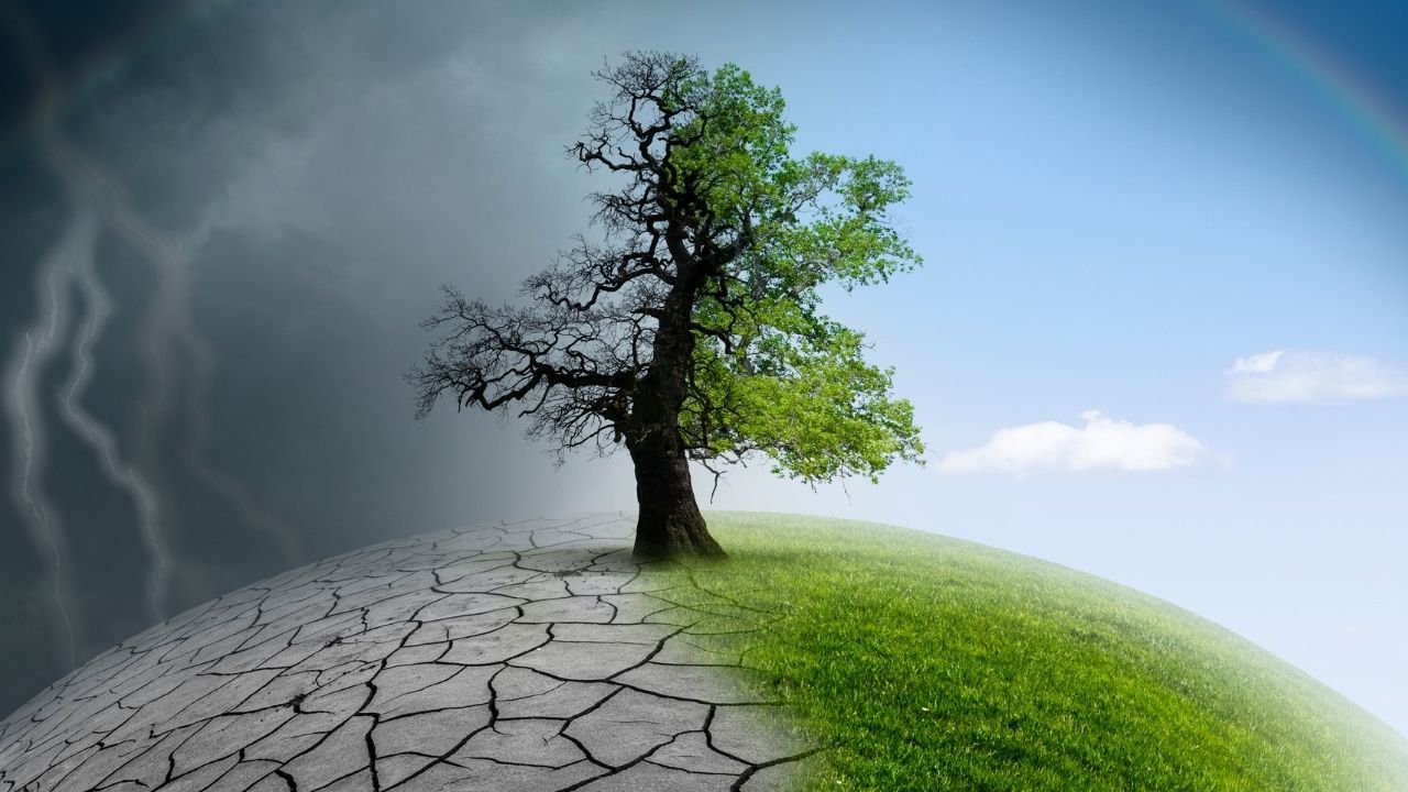 İklim değişikliği ilerleme durumu, nedenleri ve olumsuz etkileri 22 Nisan Dünya Günü İklim değişikliği ilerleme durumu, nedenleri ve olumsuz etkileri 22 Nisan Dünya Günü - 2. Resim