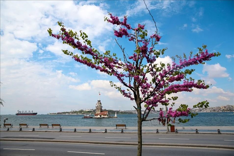Kız Kulesi 24-30 Nisan tarihleri arasında bir hafta süreyle ziyarete kapalı olacak Kız Kulesi 24-30 Nisan tarihleri arasında bir hafta süreyle ziyarete kapalı olacak - 1. Resim