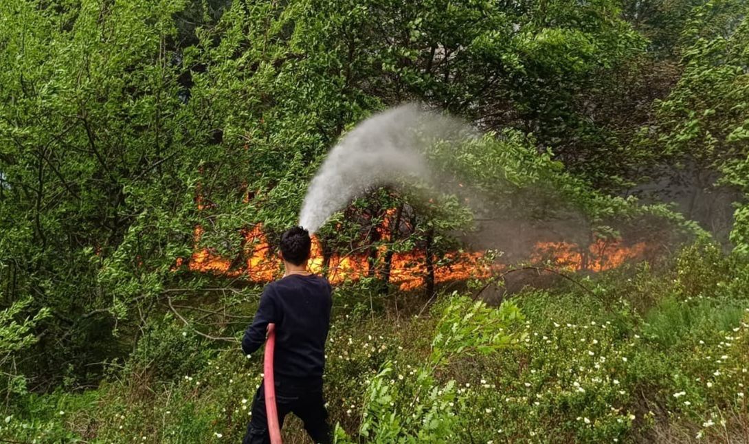 Kastamonu'da orman yangını: Ekiplerin müdahalesi sürüyor - 1. Resim