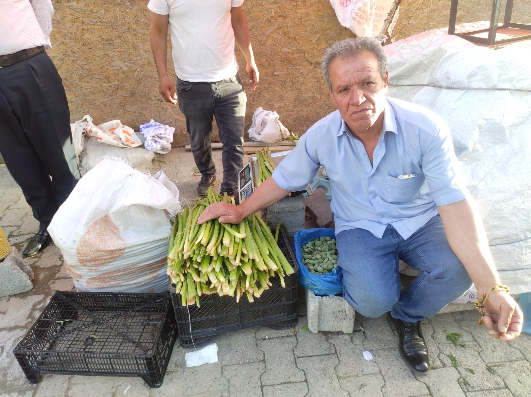 Toplamak için 5 saat yürüyorlar! Günlük kazançları 30 bin lira, yok satıyor Toplamak için 5 saat yürüyorlar! Günlük kazançları 30 bin lira, yok satıyor - 3. Resim