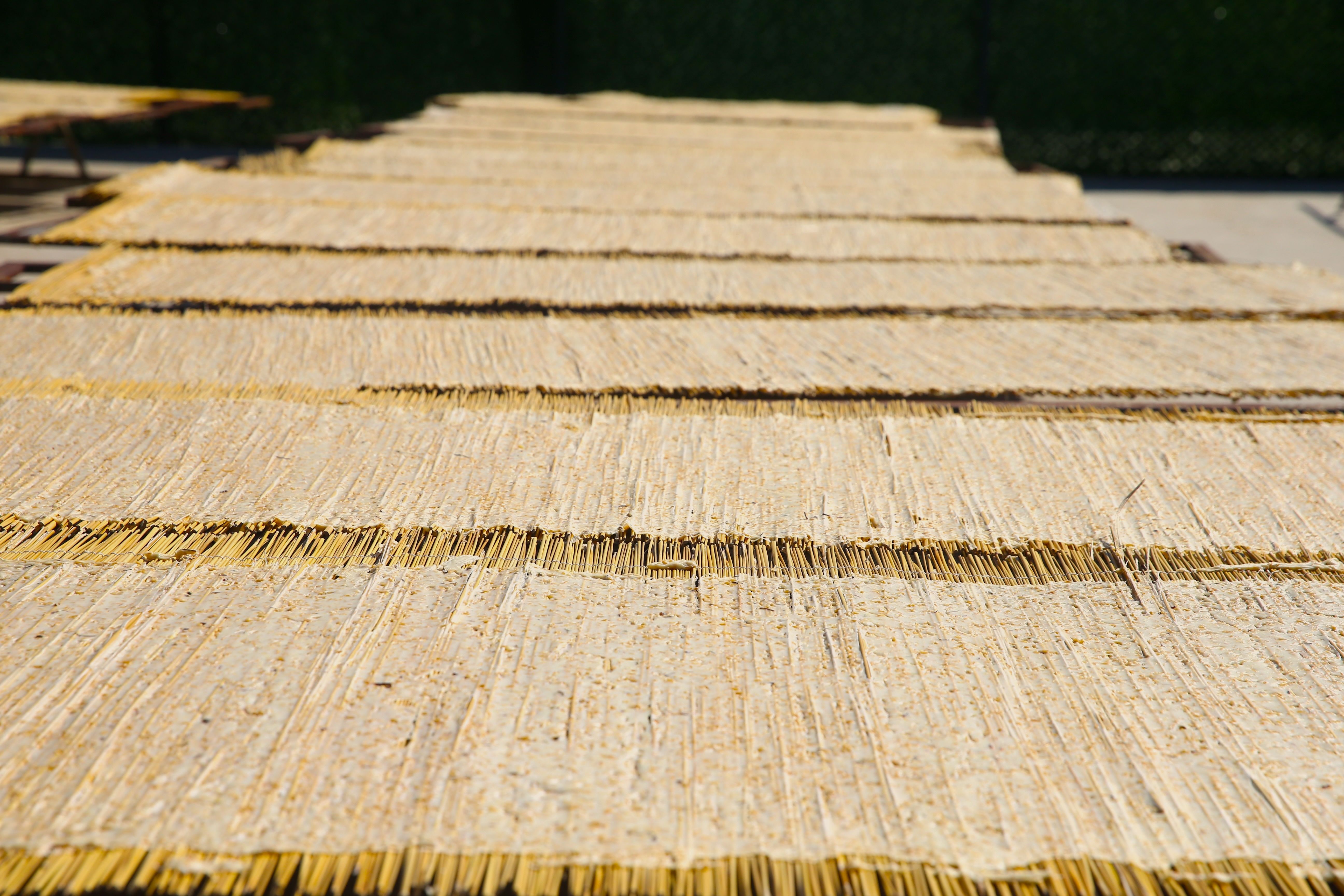 Yavuz Sultan Selim annesinden istemişti: Bugün 14 ülkeye ihraç ediliyor - 4. Resim