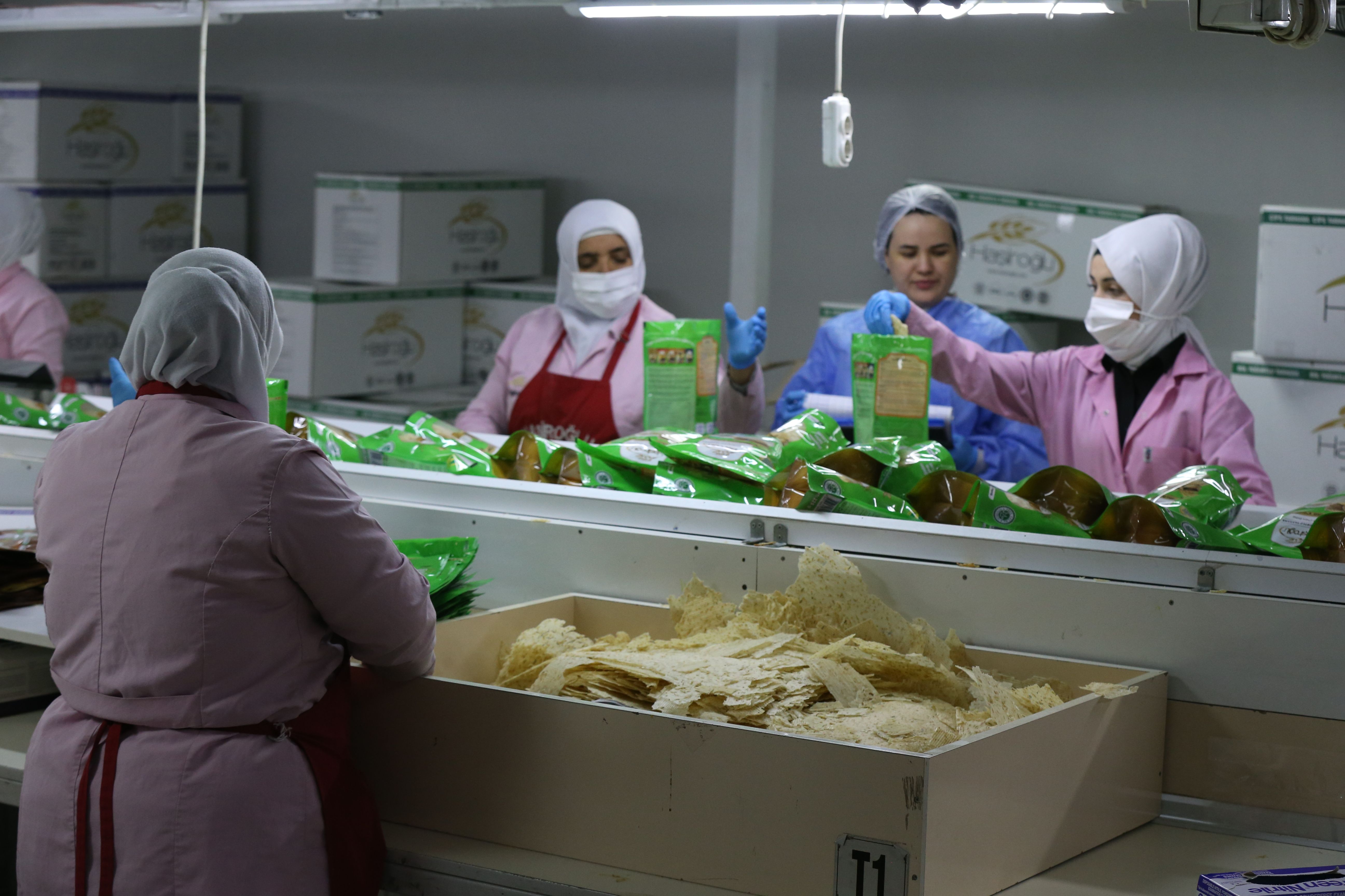 Yavuz Sultan Selim annesinden istemişti: Bugün 14 ülkeye ihraç ediliyor - 5. Resim