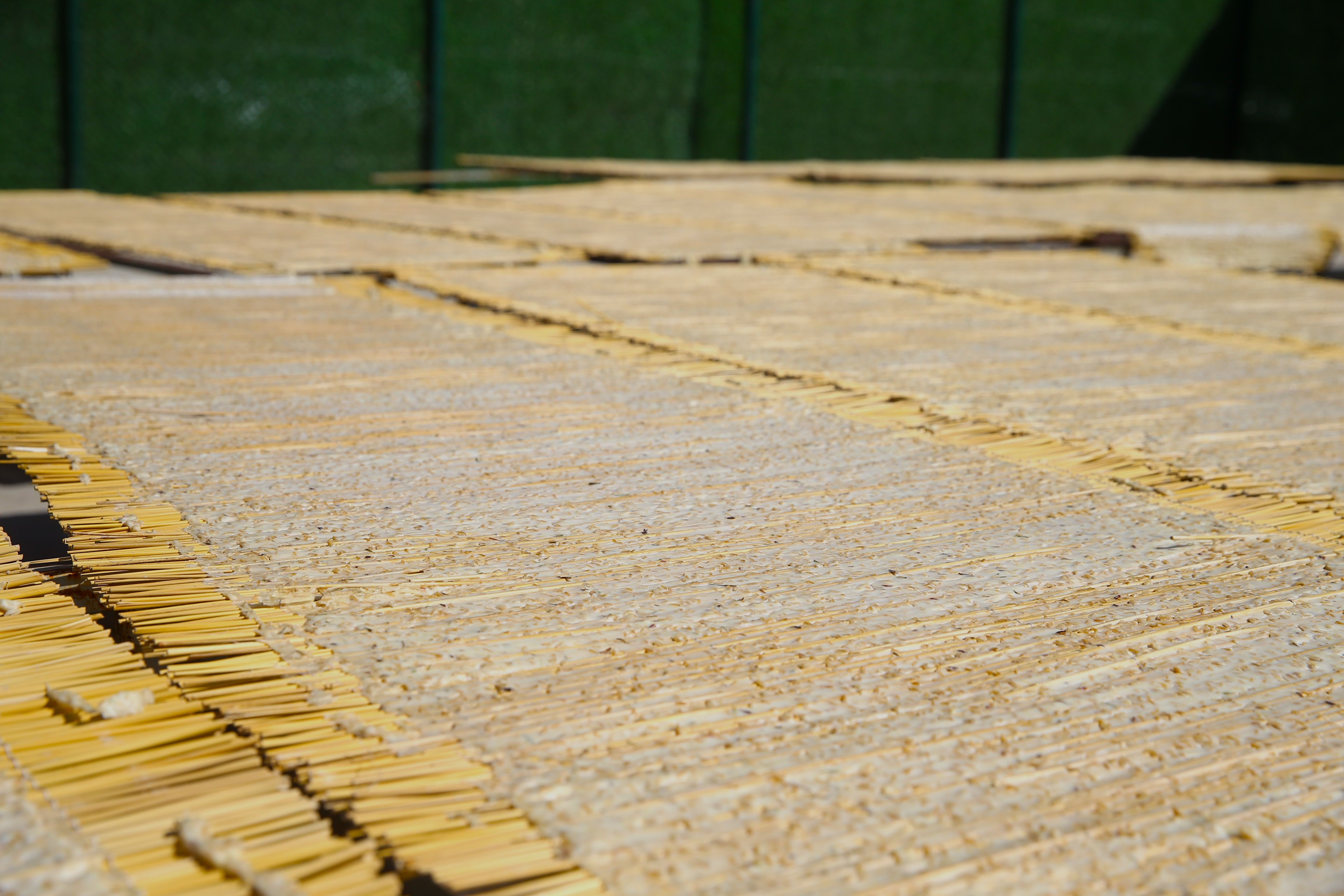 Yavuz Sultan Selim annesinden istemişti: Bugün 14 ülkeye ihraç ediliyor - 2. Resim