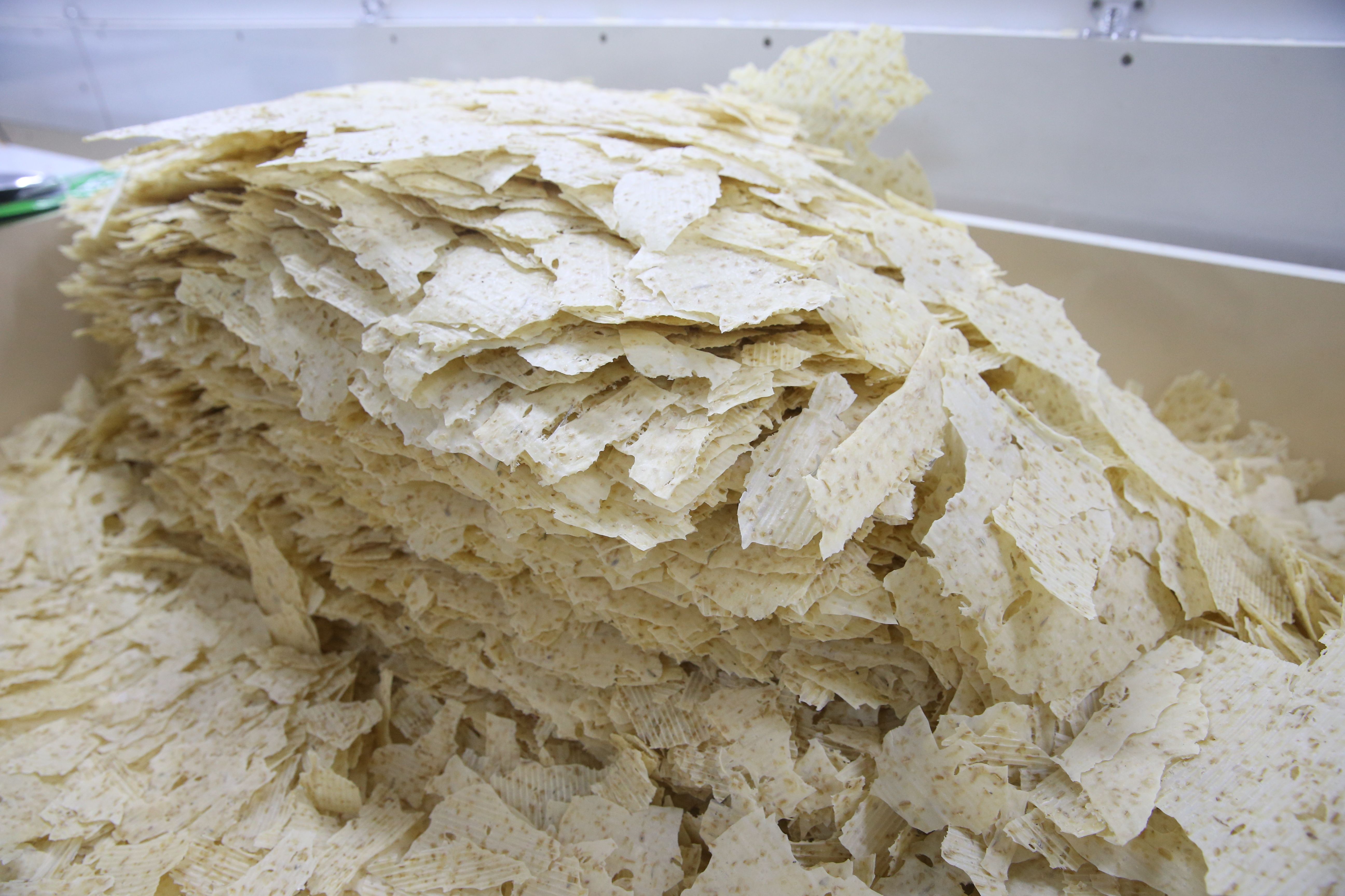 Yavuz Sultan Selim annesinden istemişti: Bugün 14 ülkeye ihraç ediliyor - 3. Resim