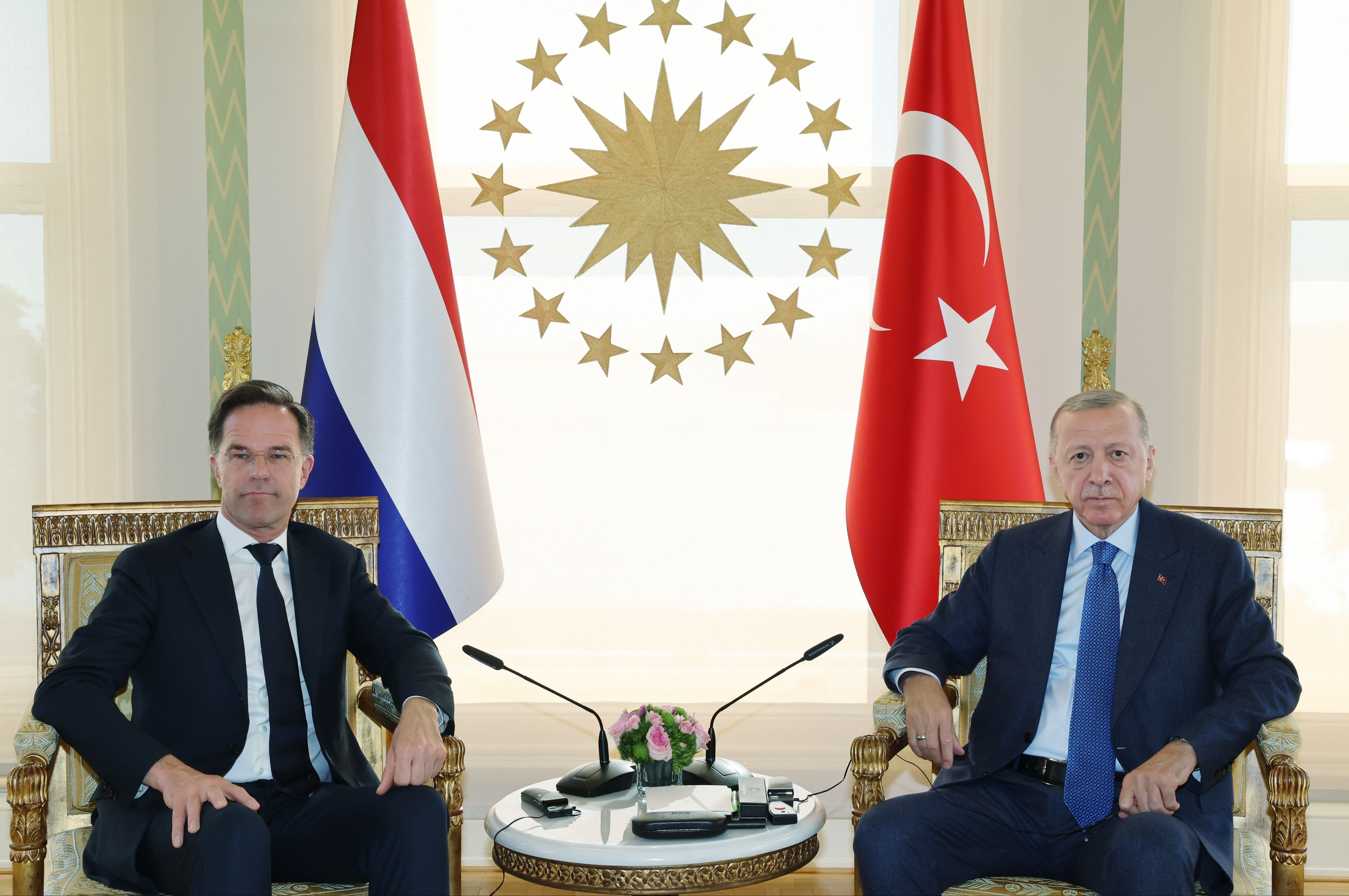 Erdoğan, Hollanda Başbakanı Rutte ile basın toplantısı düzenledi - 1. Resim