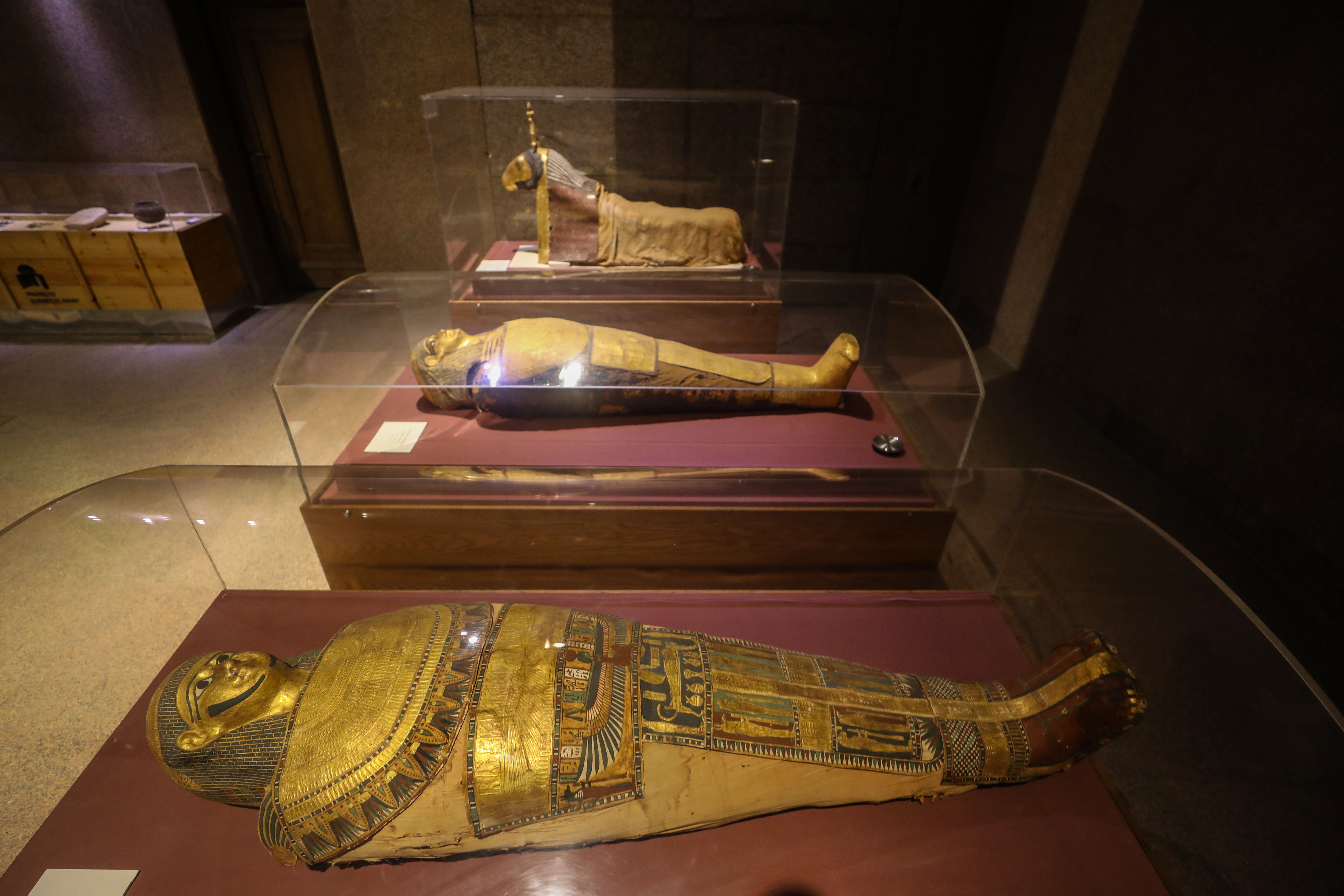 Firavunların merkezi Nubiya Müzesi - 6. Resim