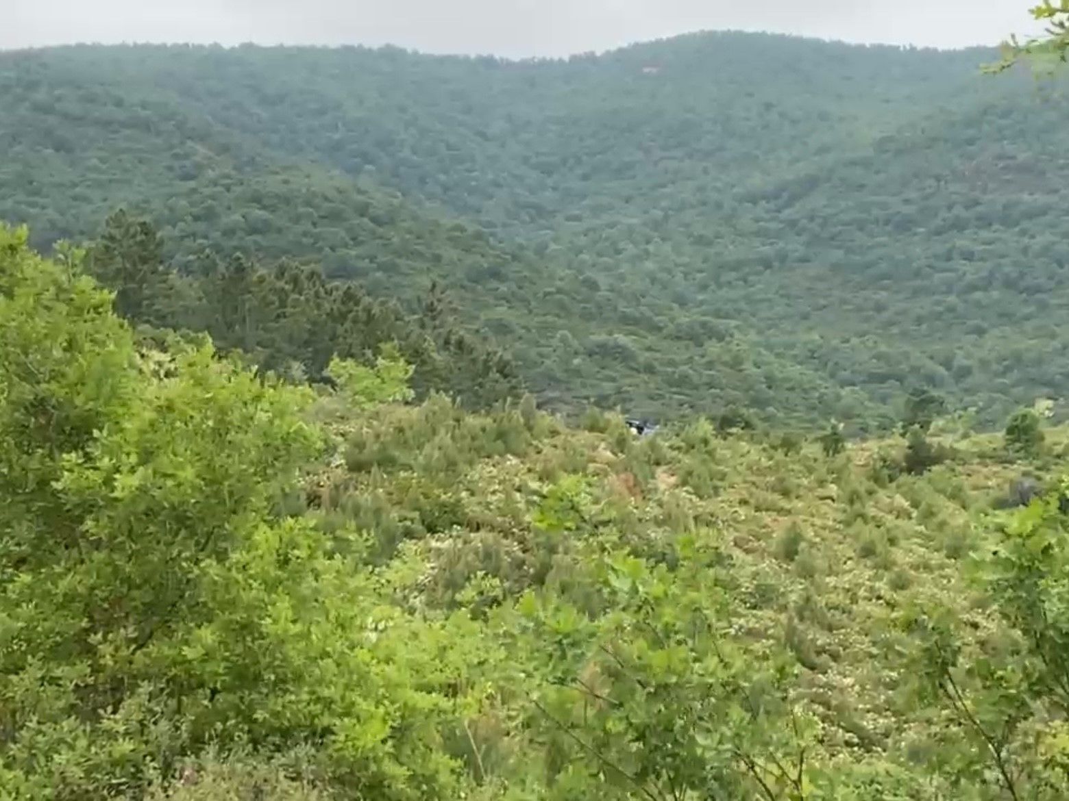 Korhan Berzeg'in arama çalışmalarında sıcak gelişme! Yeni kemik parçaları bulundu - 1. Resim