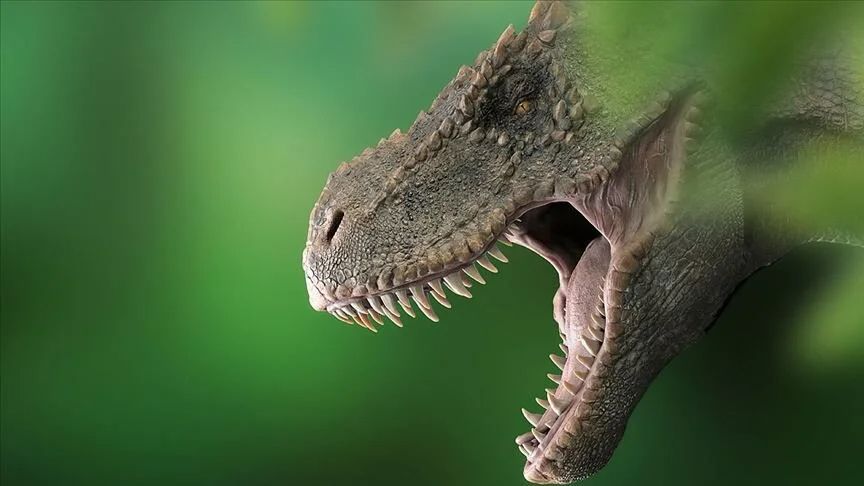 Dev dinozorlar küçük beyinlerle mi yaşadı? T-Rex'lerin zeka seviyesi hakkında şaşırtıcı keşif! - 1. Resim