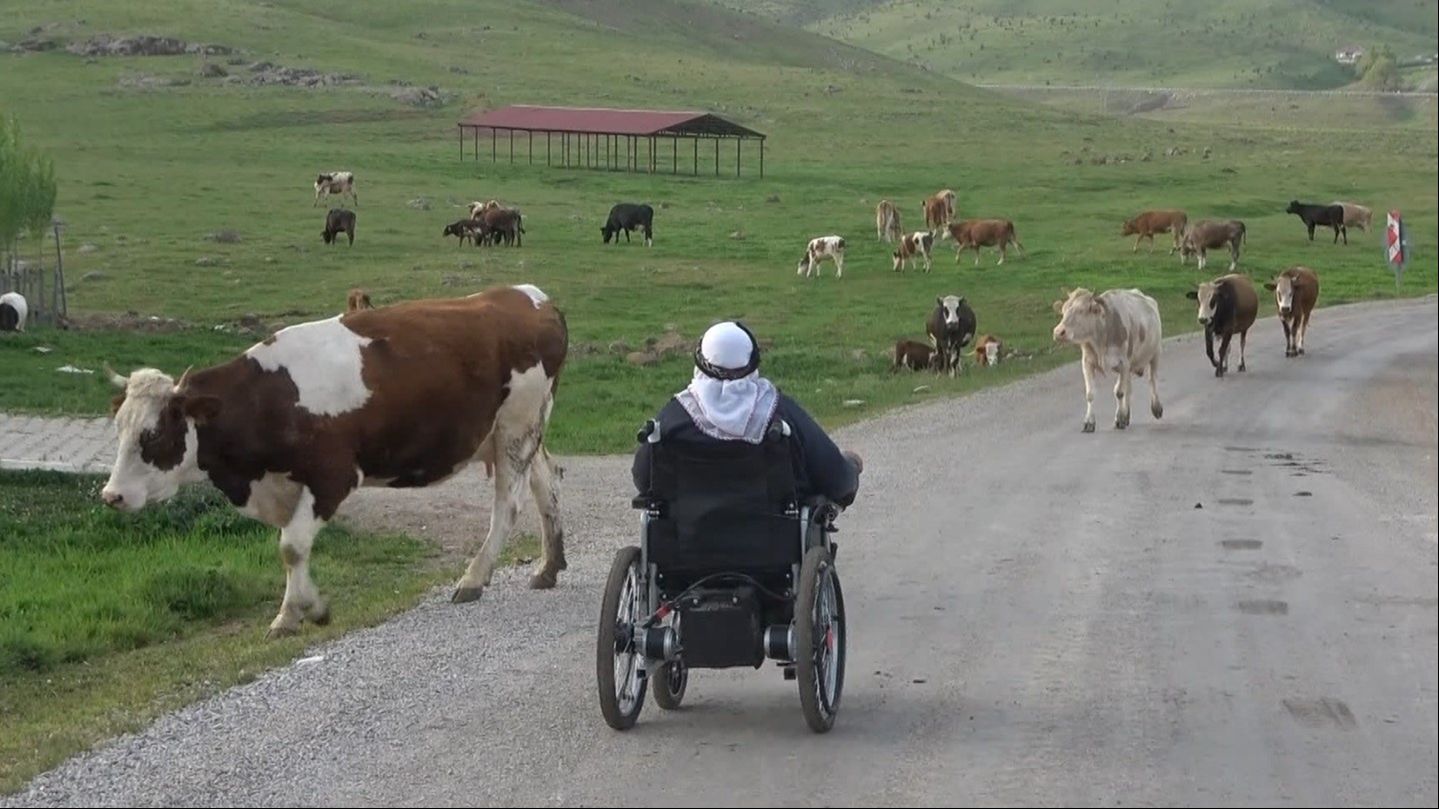 Sadece tavana bakıyordu: Cevahir teyze 10 yıl sonra köy meydanında Sadece tavana bakıyordu: Cevahir teyze 10 yıl sonra köy meydanında - 4. Resim