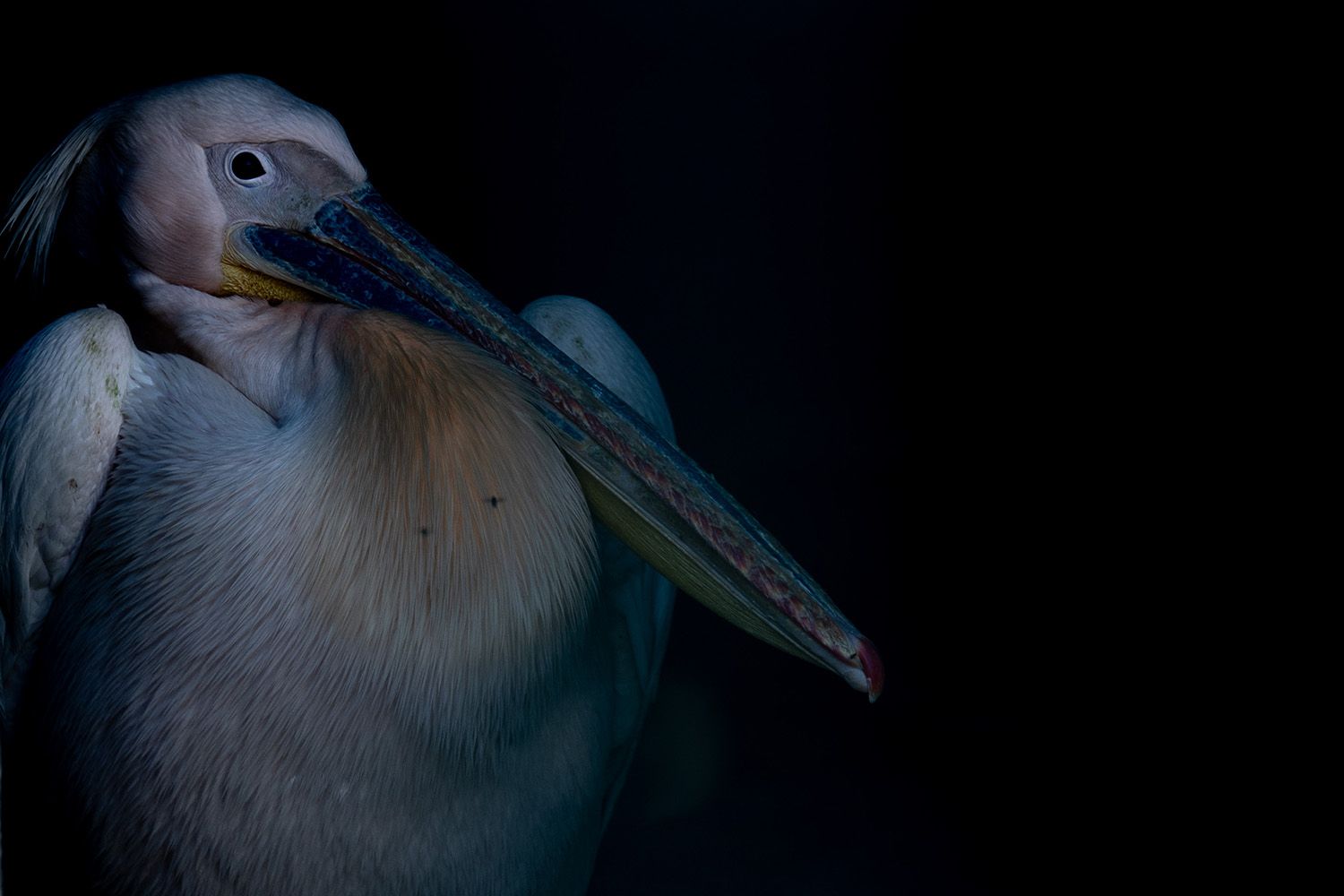 Uzmanlar tarih verdi, Türkiye kavrulacak! Sıcaklıklar rekor kıracak... - 3. Resim